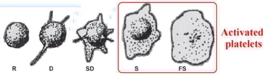 Membranes 11 00533 g005