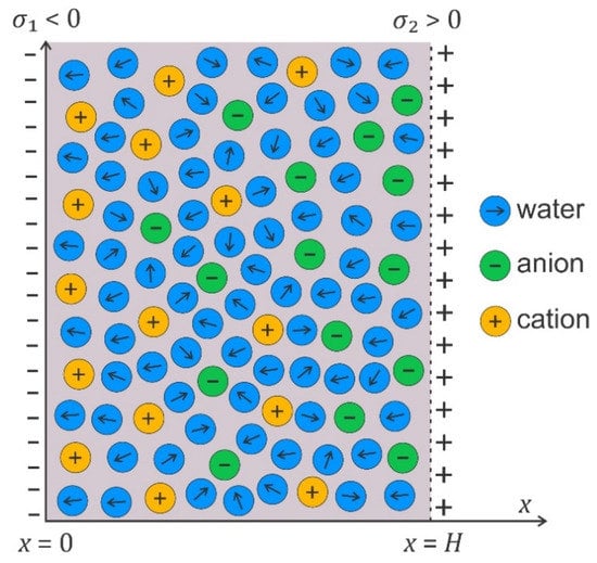 Membranes 11 00533 g007