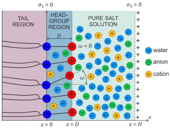 Membranes 11 00533 g009