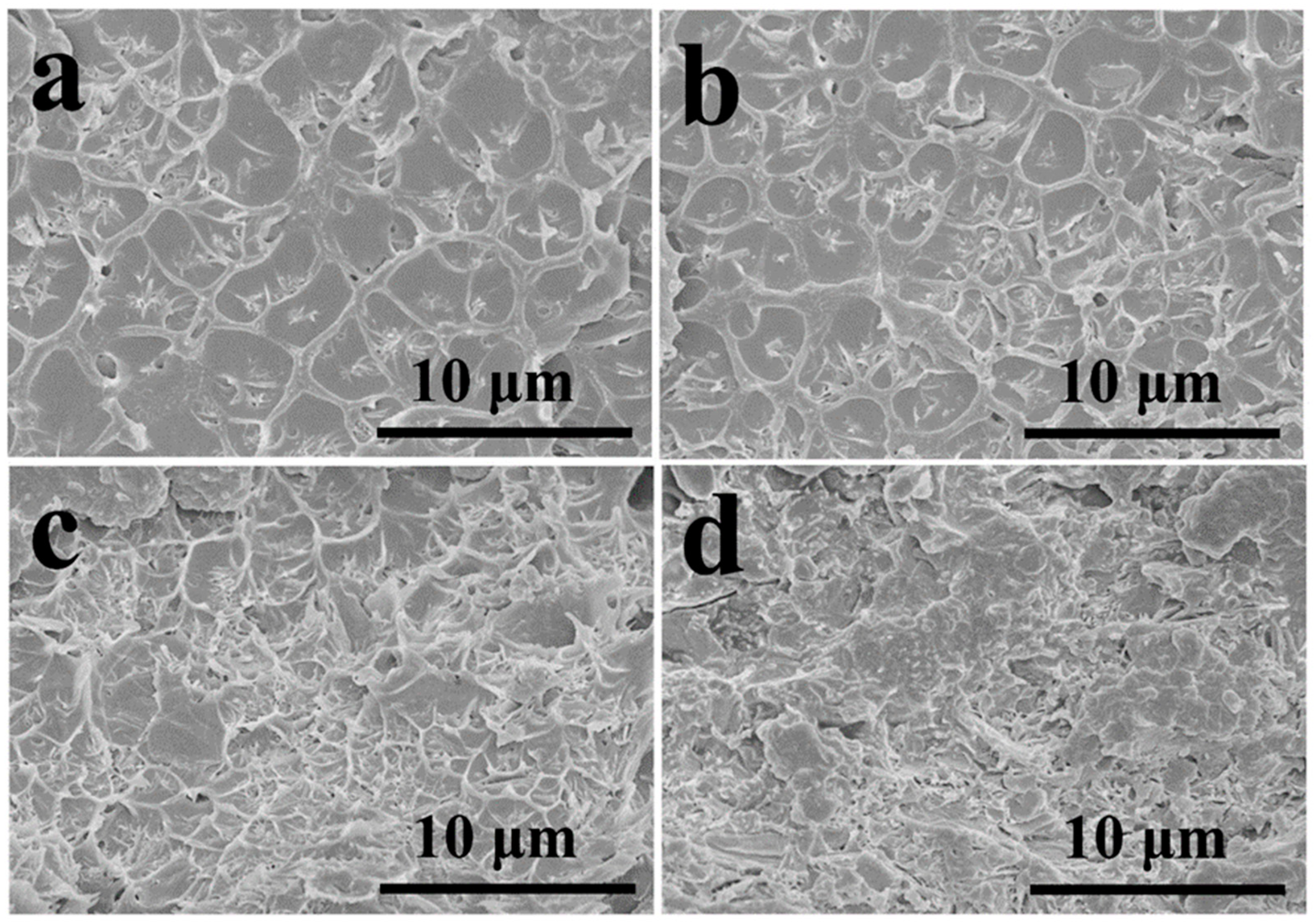 Membranes 11 00536 g003 Membranes 11 00536 g003