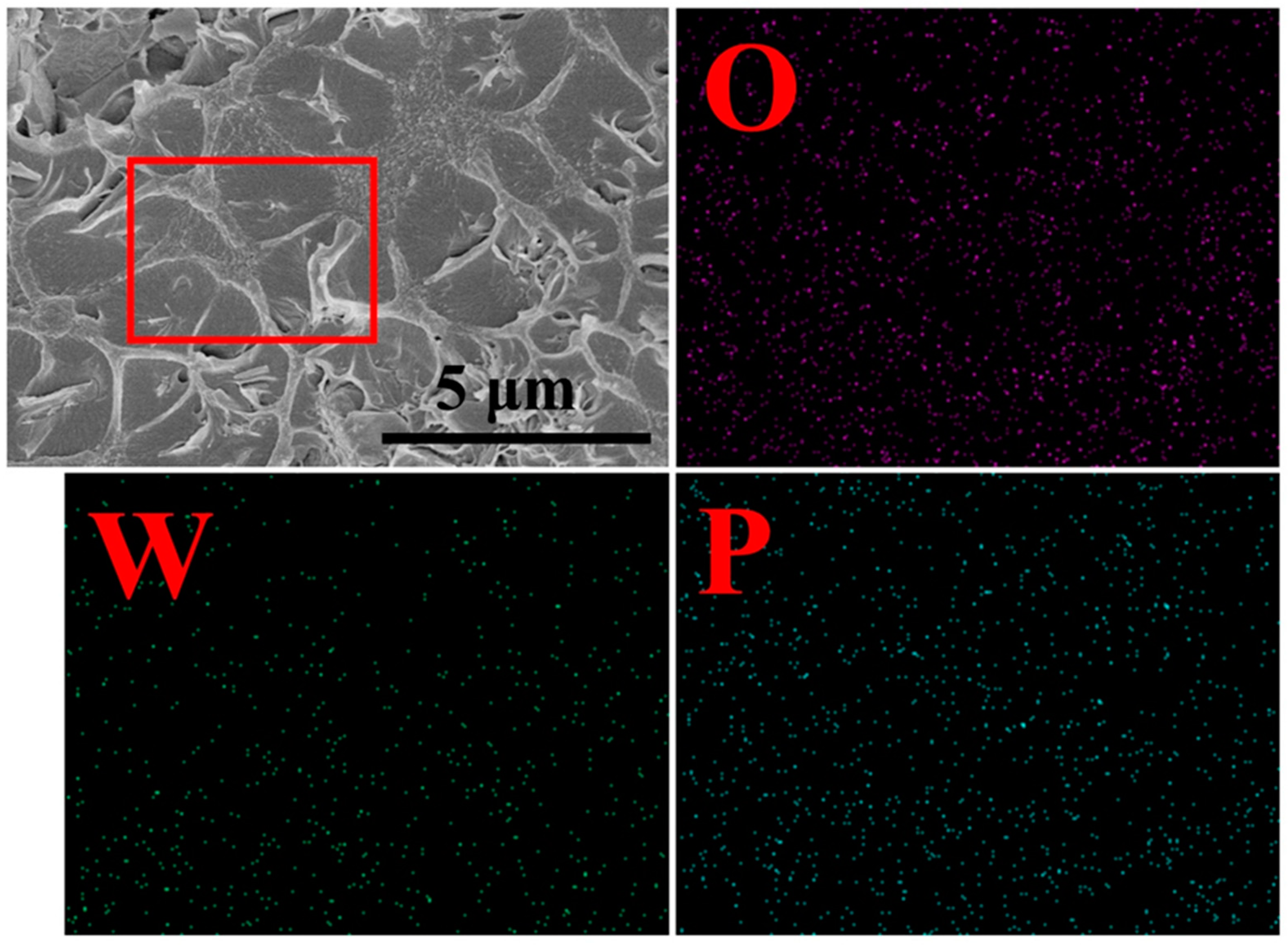 Membranes 11 00536 g004 Membranes 11 00536 g004