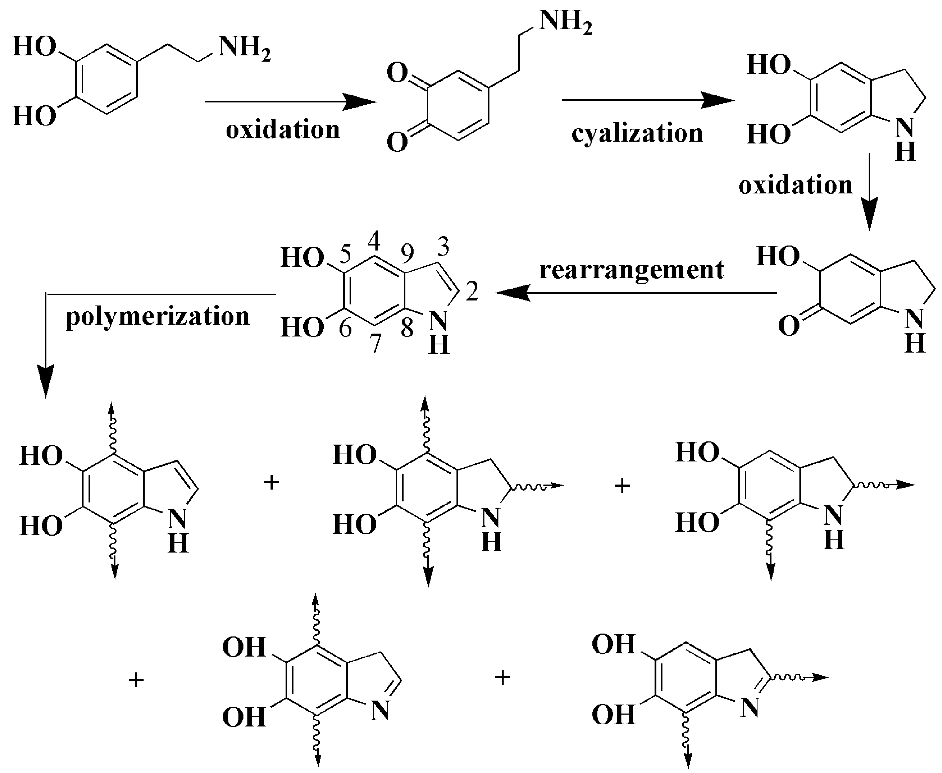 Membranes 11 00536 sch001 Membranes 11 00536 sch001