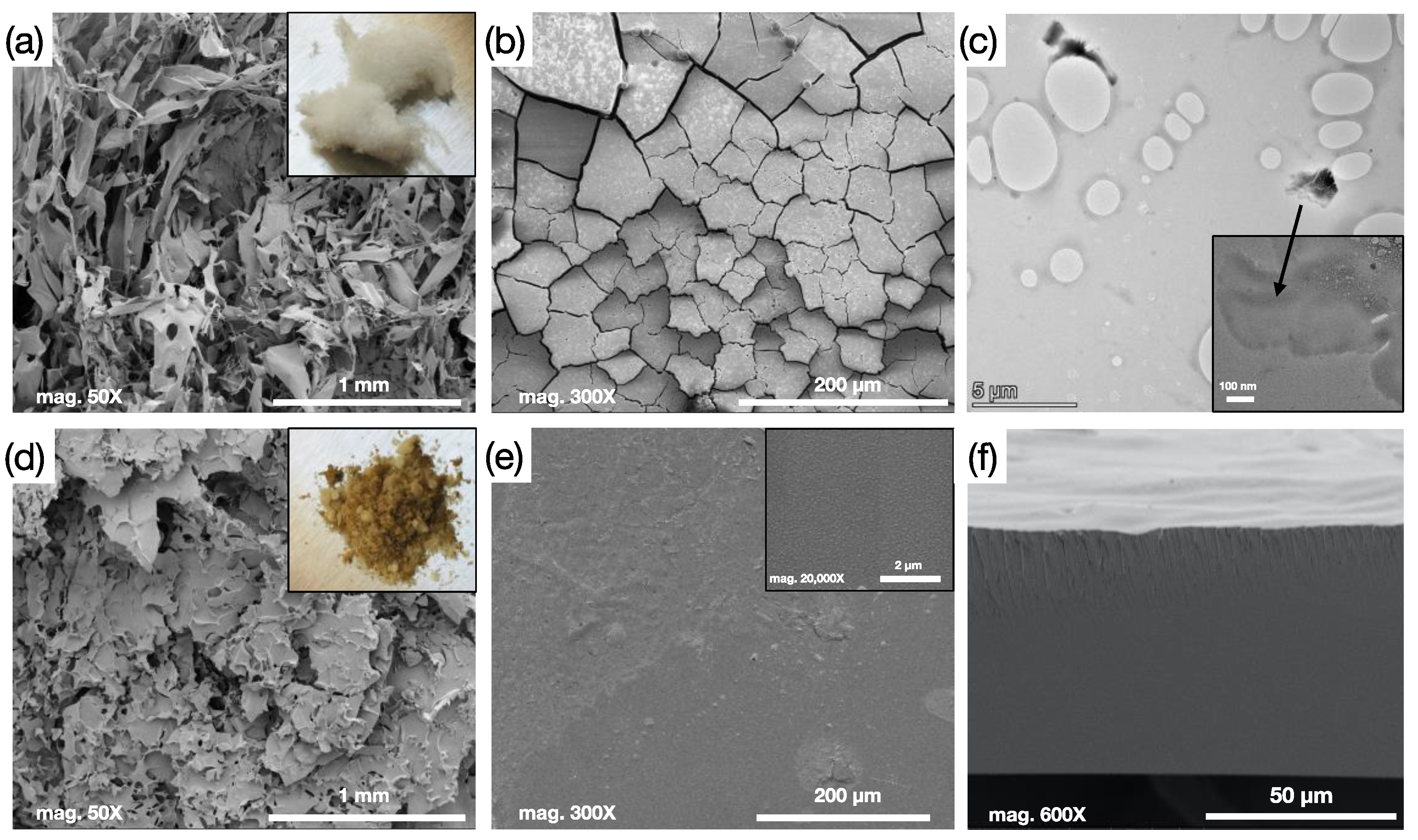 Membranes 11 00539 g003 Membranes 11 00539 g003
