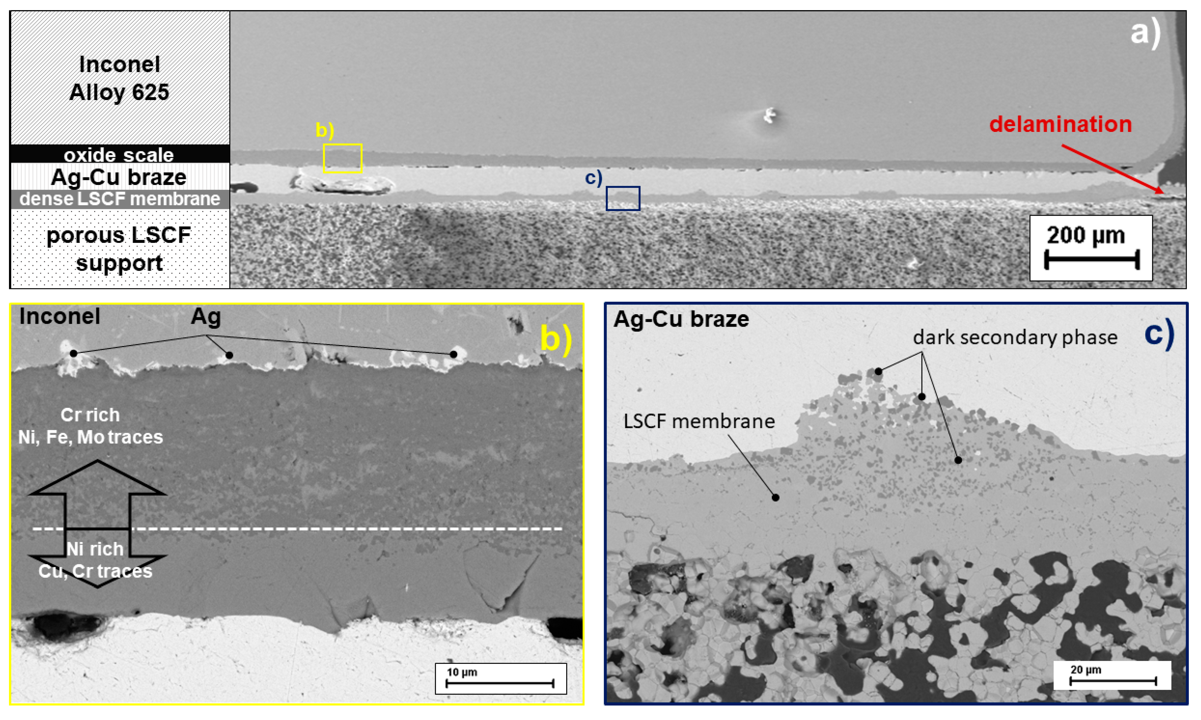 Membranes 11 00541 g007