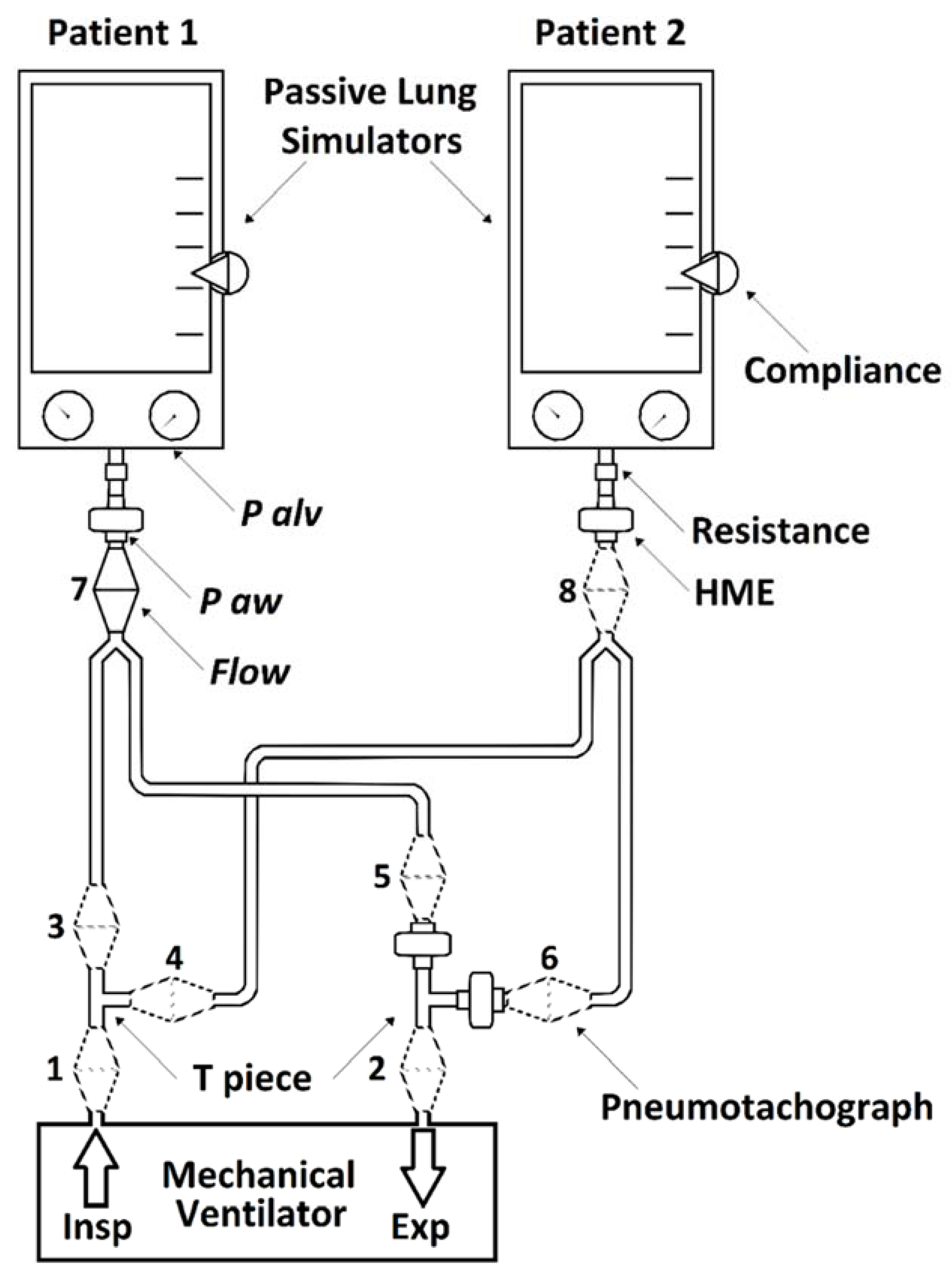 Membranes 11 00547 g001