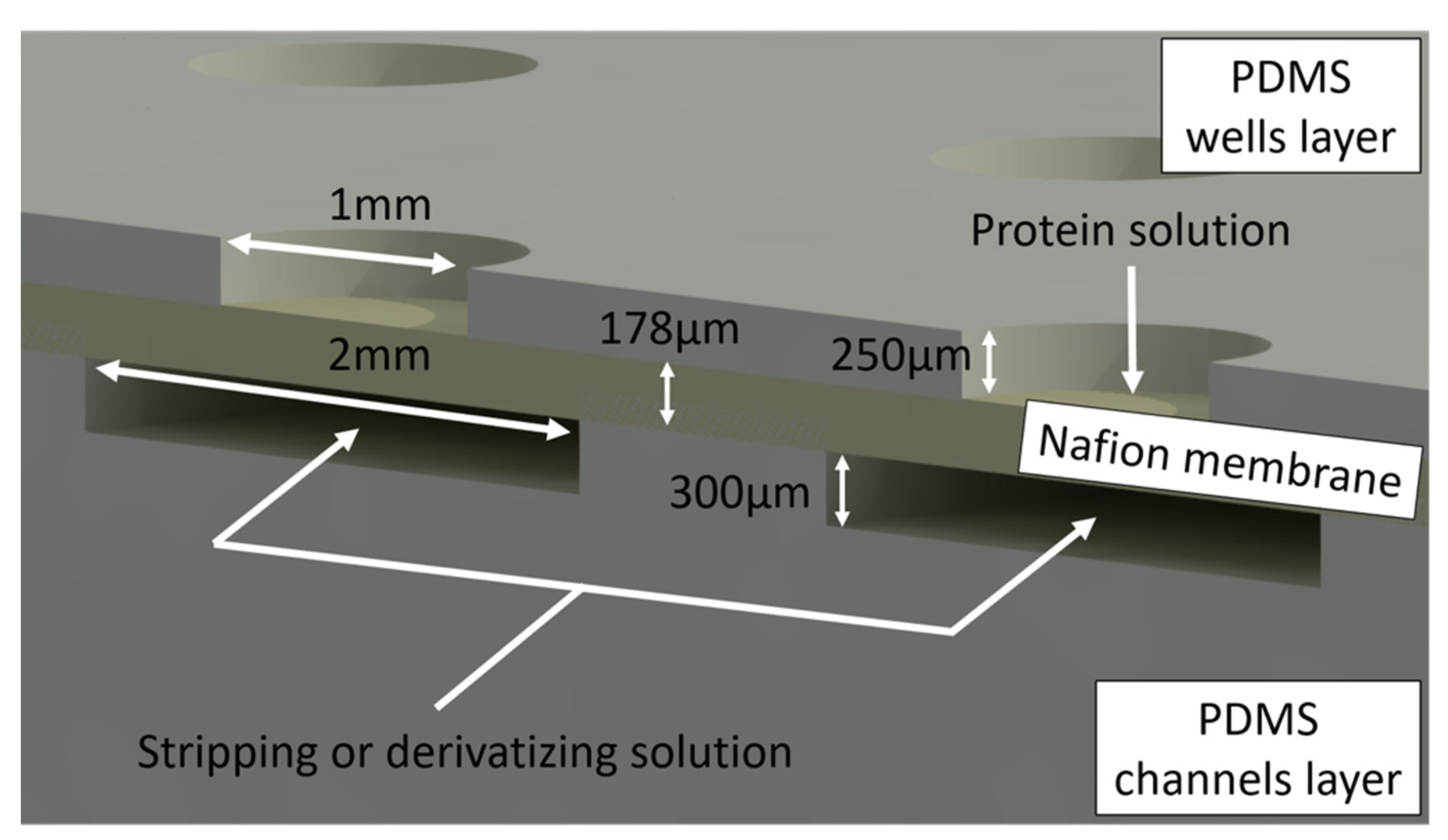 Membranes 11 00549 g002 Membranes 11 00549 g002