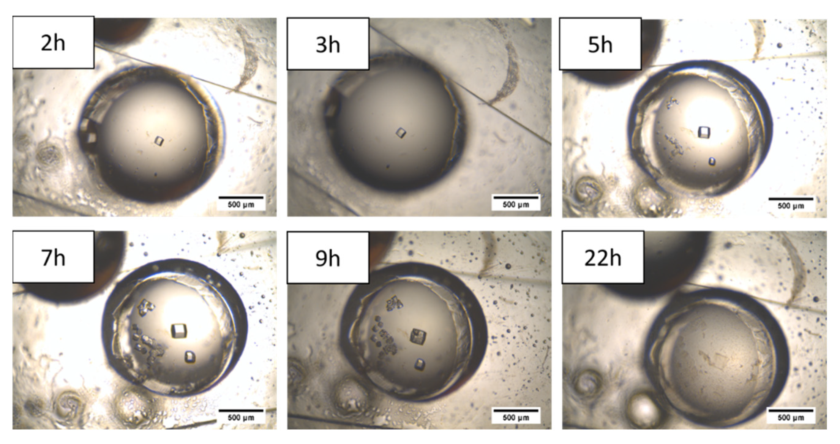 Membranes 11 00549 g009 Membranes 11 00549 g009