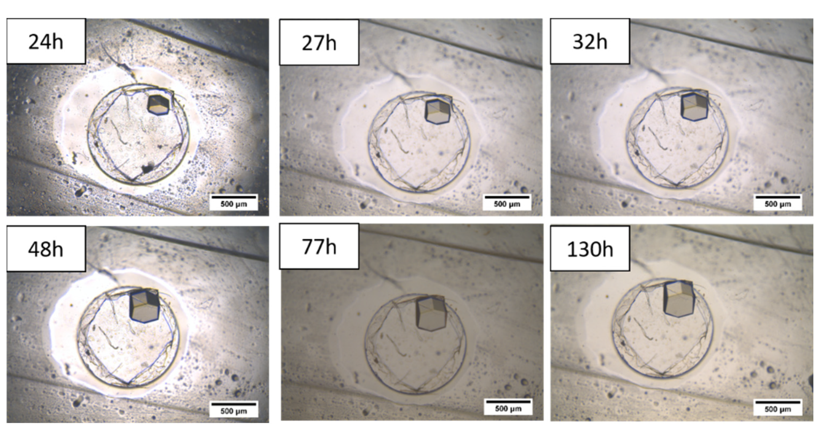Membranes 11 00549 g010 Membranes 11 00549 g010