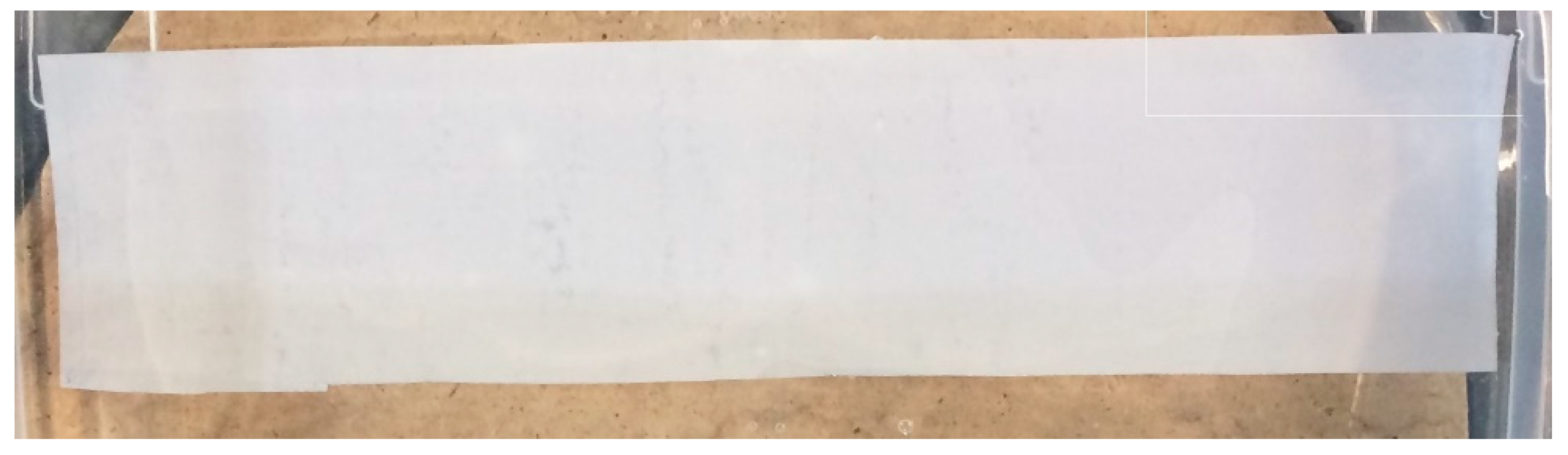 Membranes 11 00556 g001