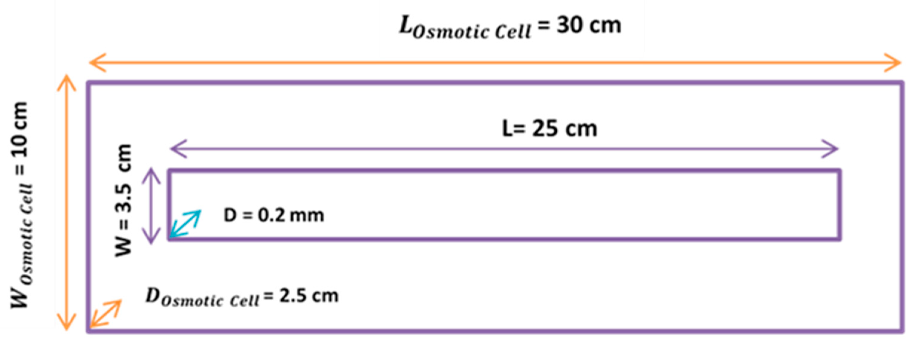 Membranes 11 00556 g004