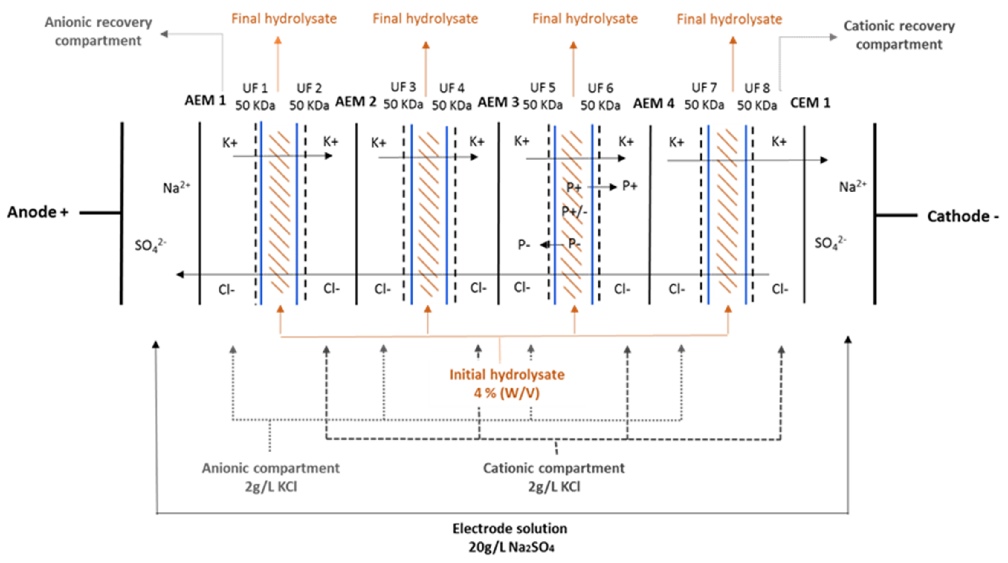 Membranes 11 00558 g001