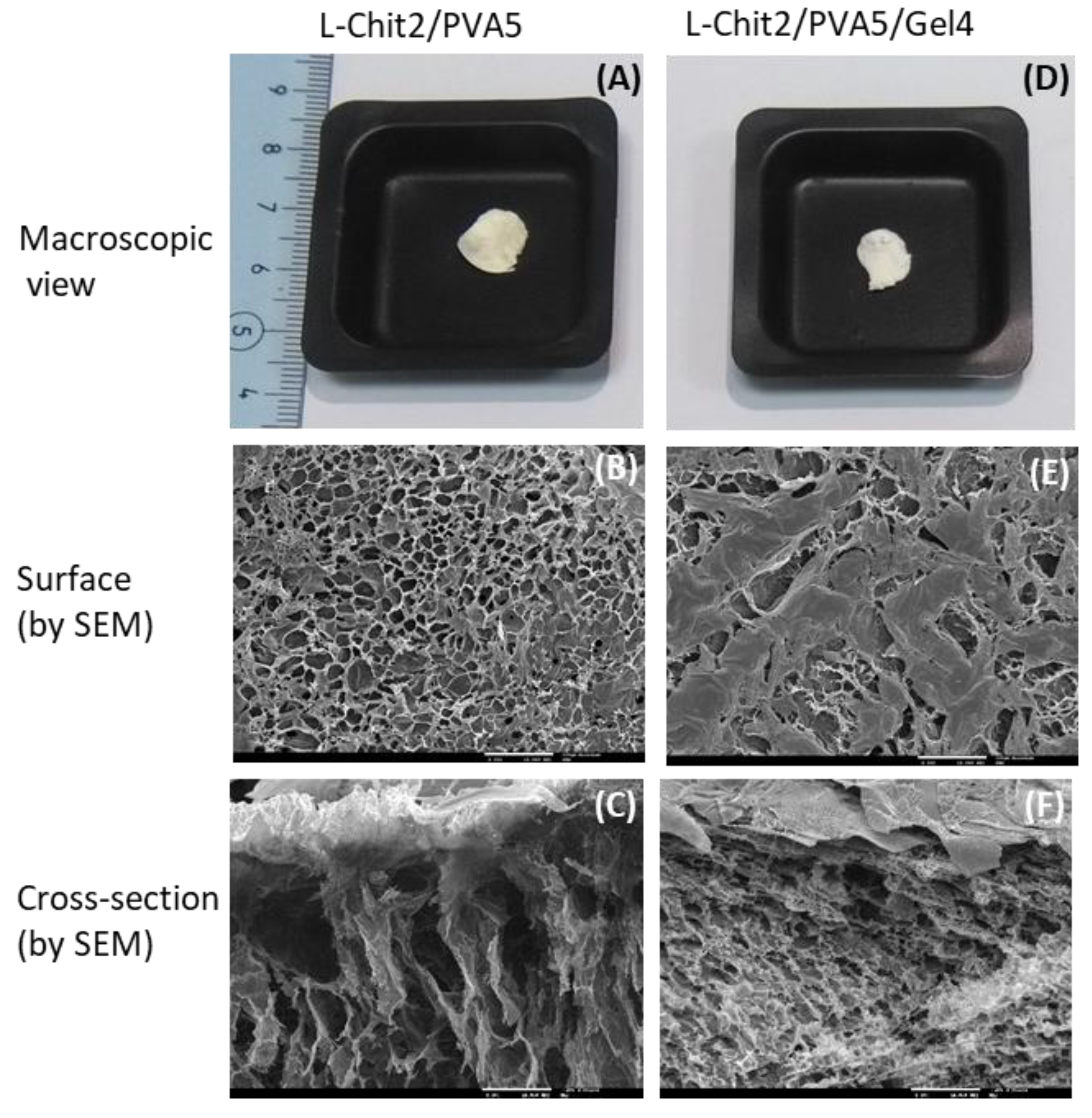 Membranes 11 00561 g003 Membranes 11 00561 g003
