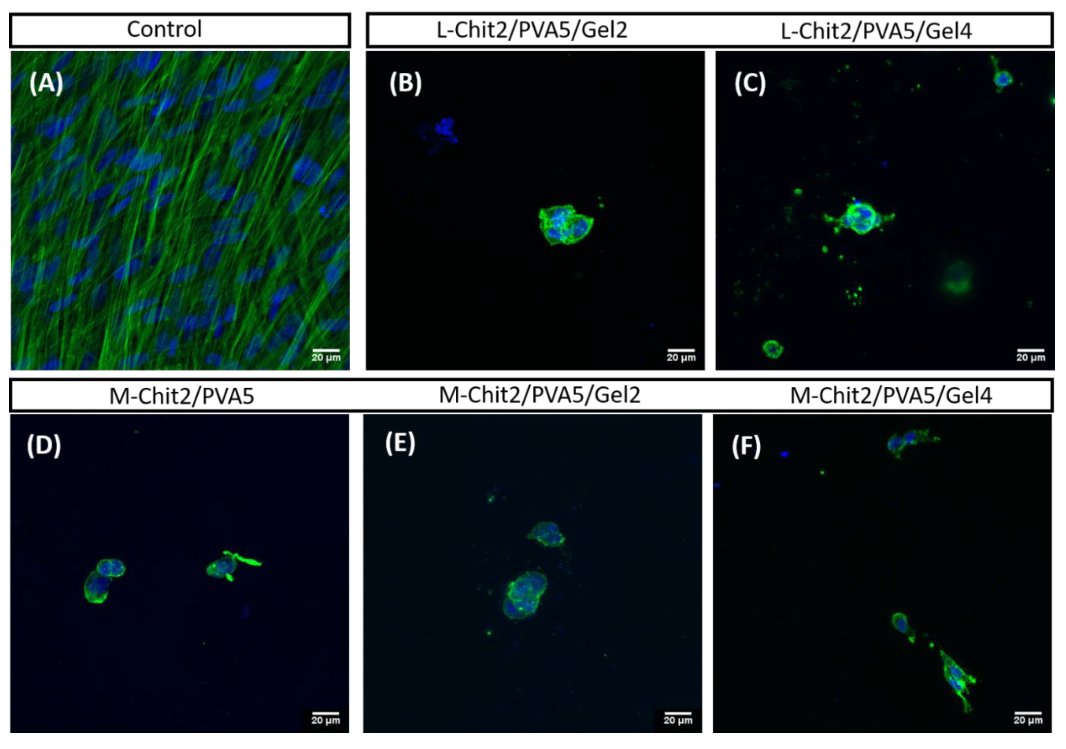Membranes 11 00561 g007 Membranes 11 00561 g007