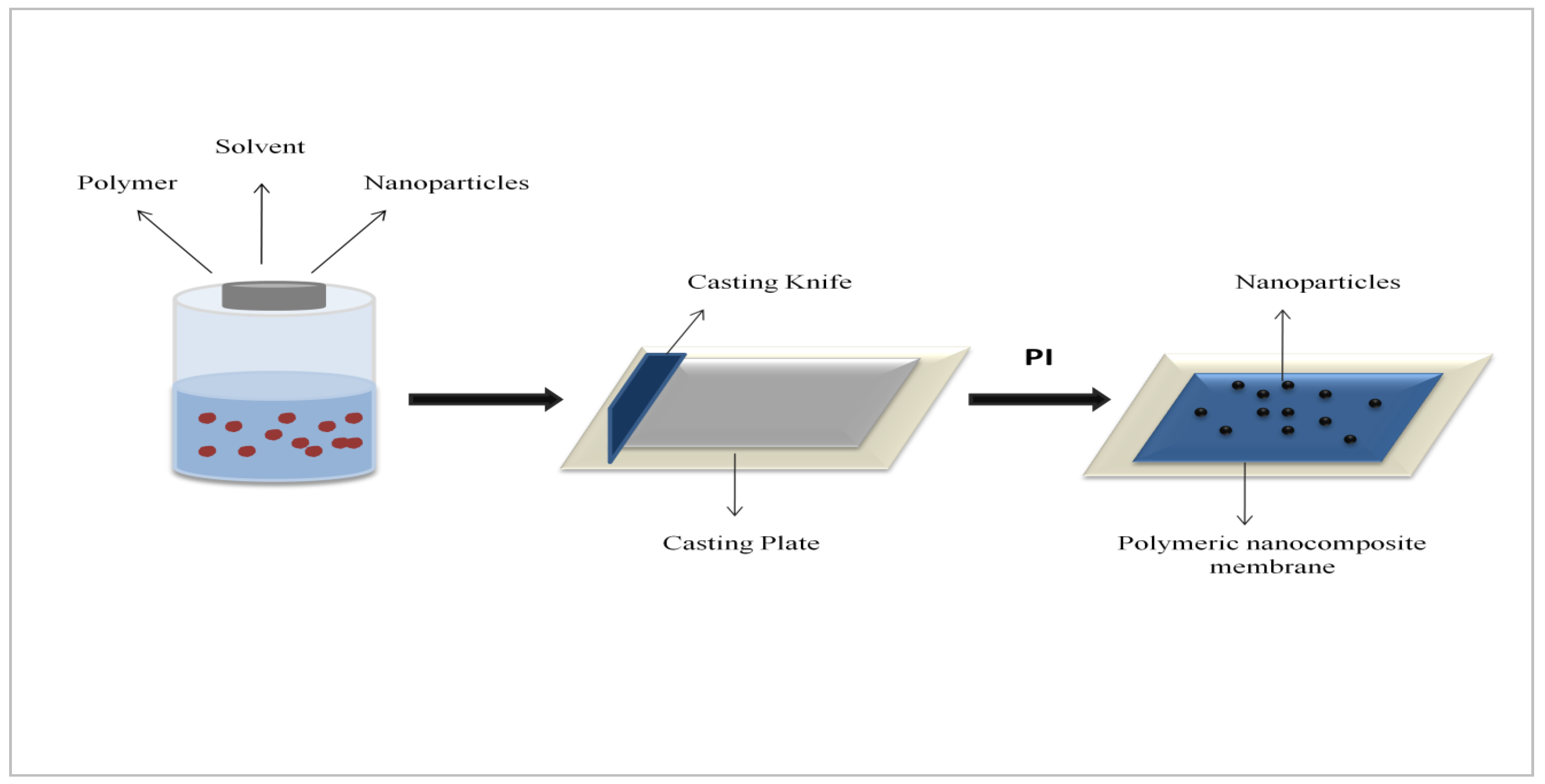 Membranes 11 00563 g001