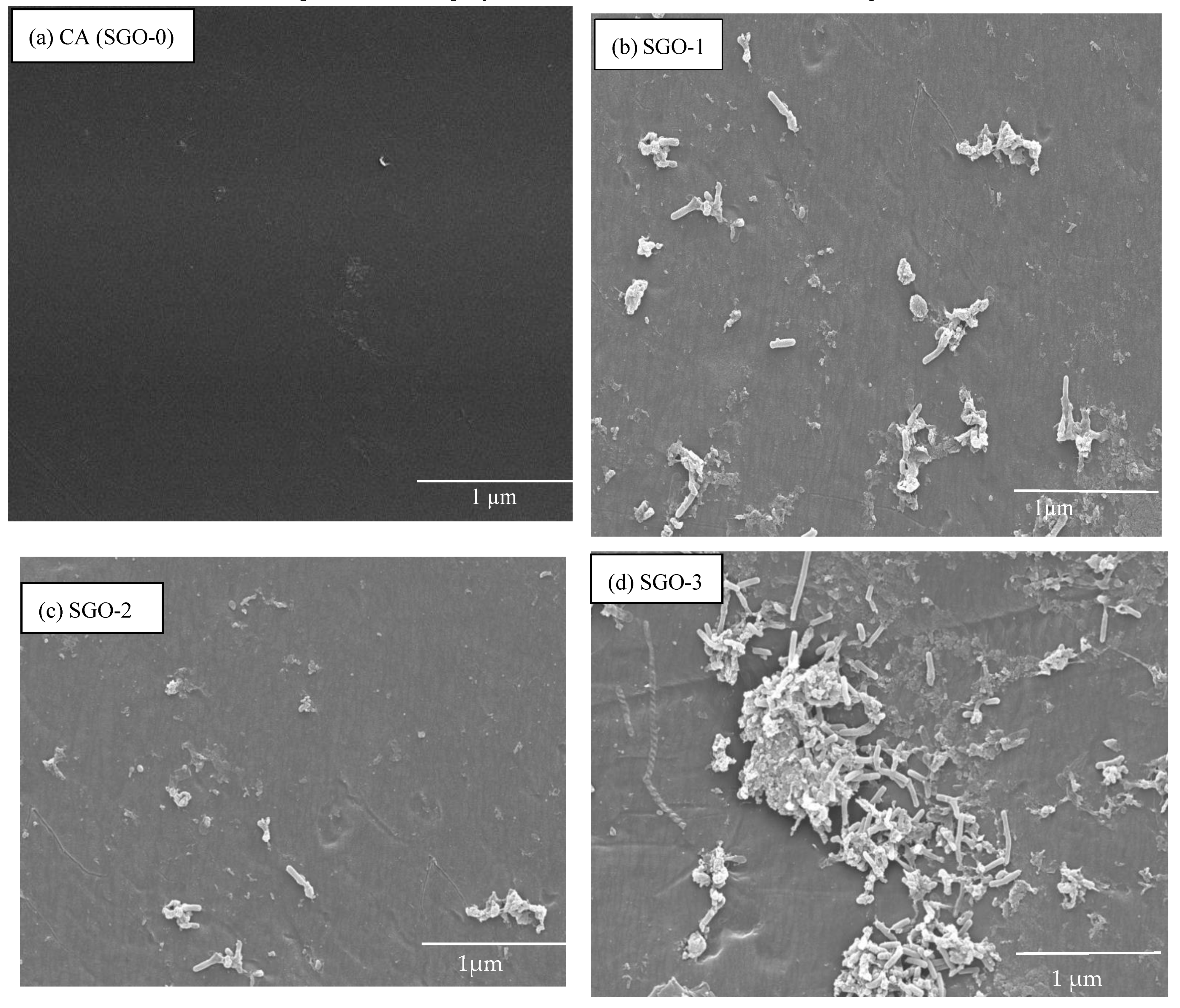 Membranes 11 00563 g004
