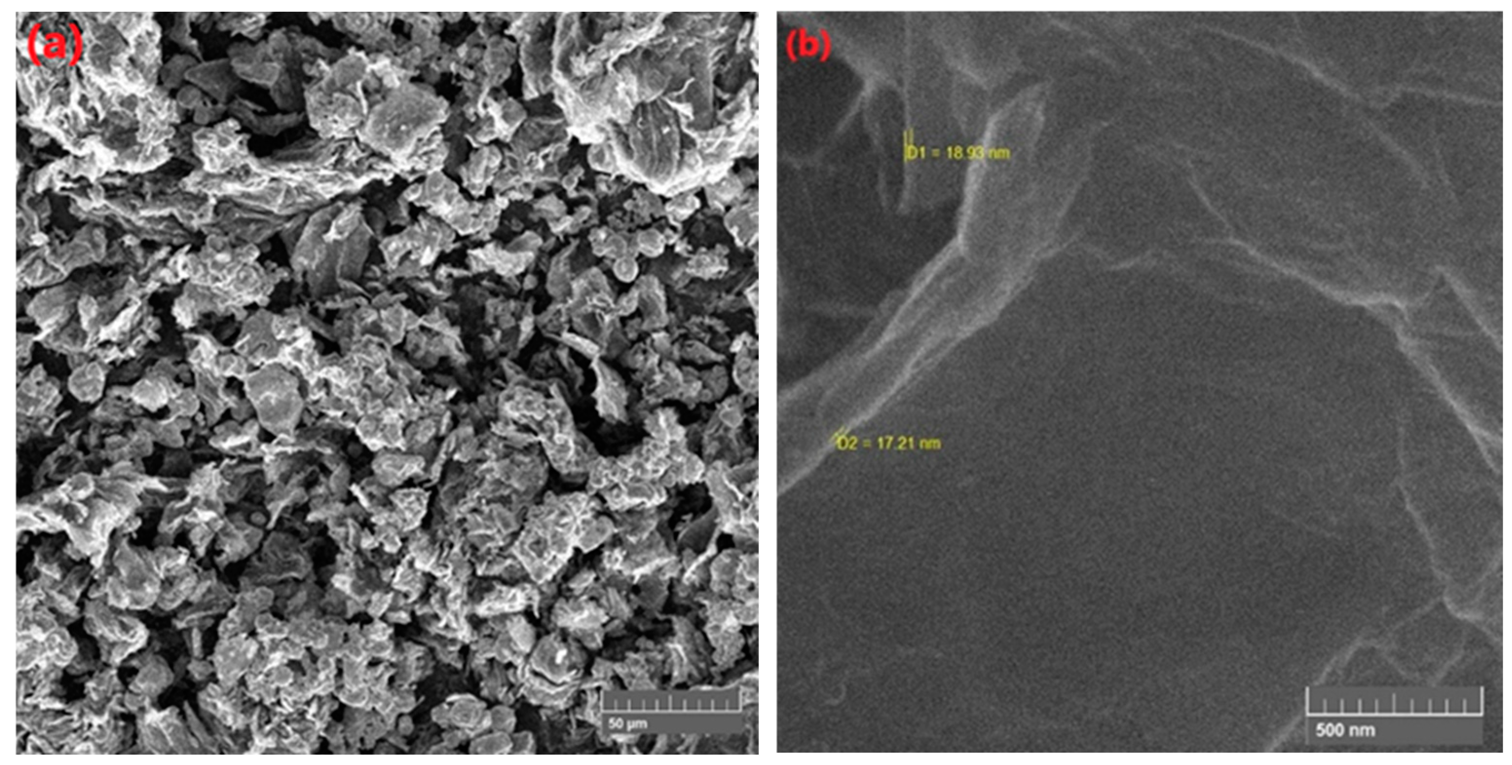 Membranes 11 00563 g005
