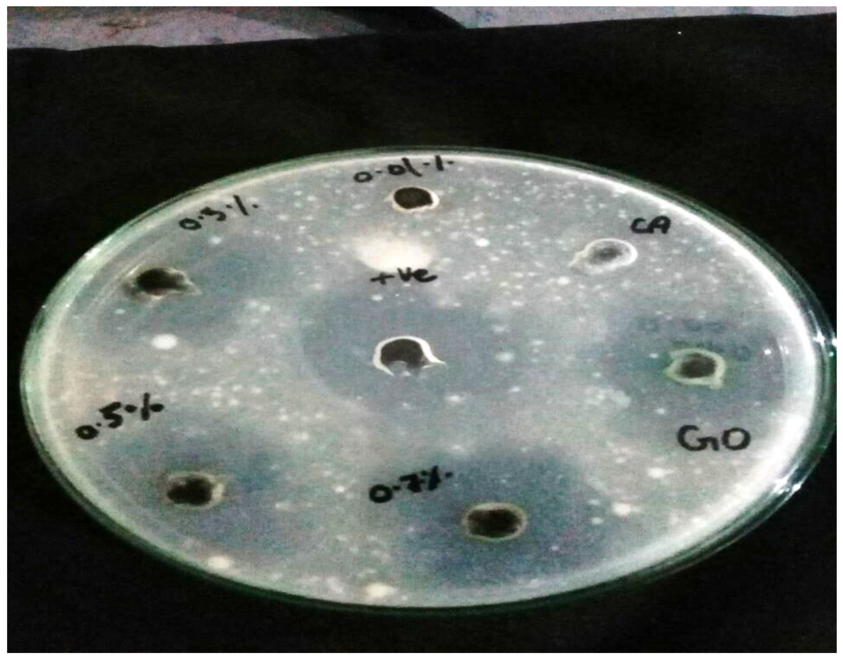 Membranes 11 00563 g009