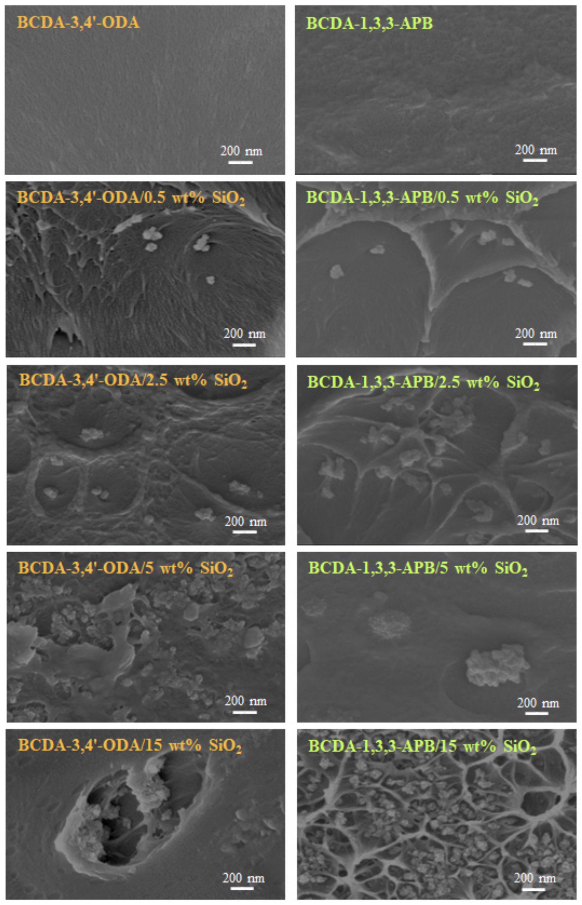 Membranes 11 00564 g005