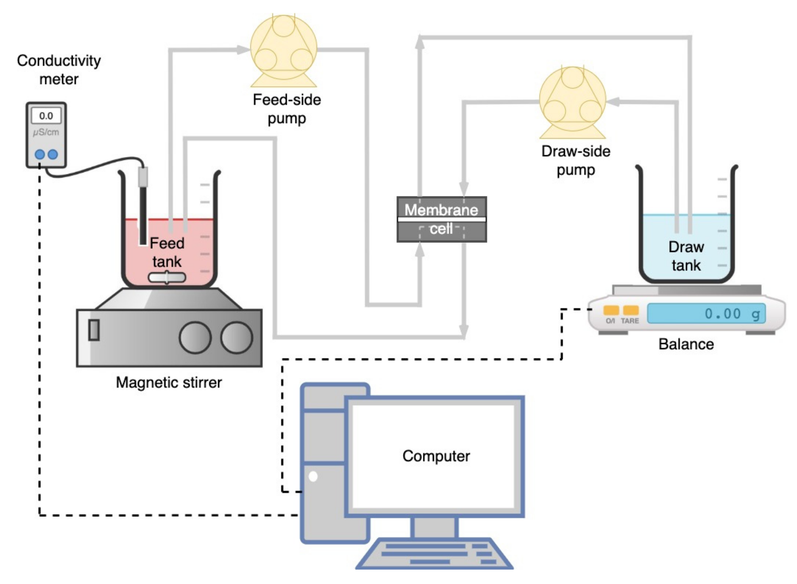Membranes 11 00566 g001