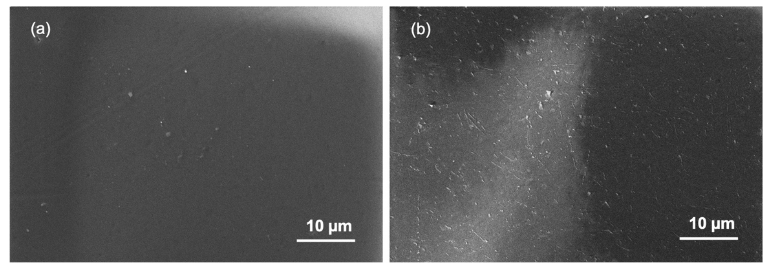 Membranes 11 00566 g013