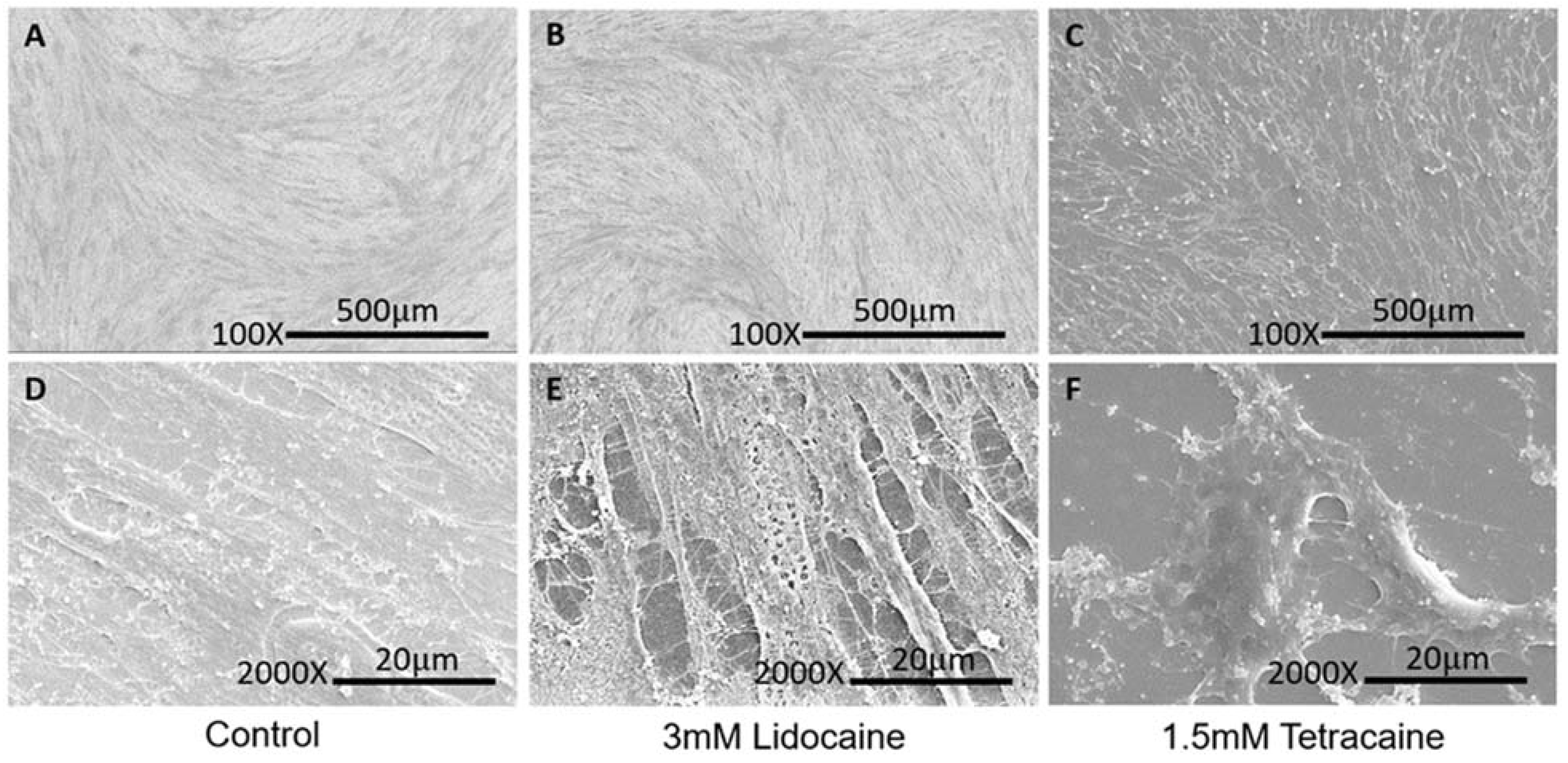 Membranes 11 00579 g004