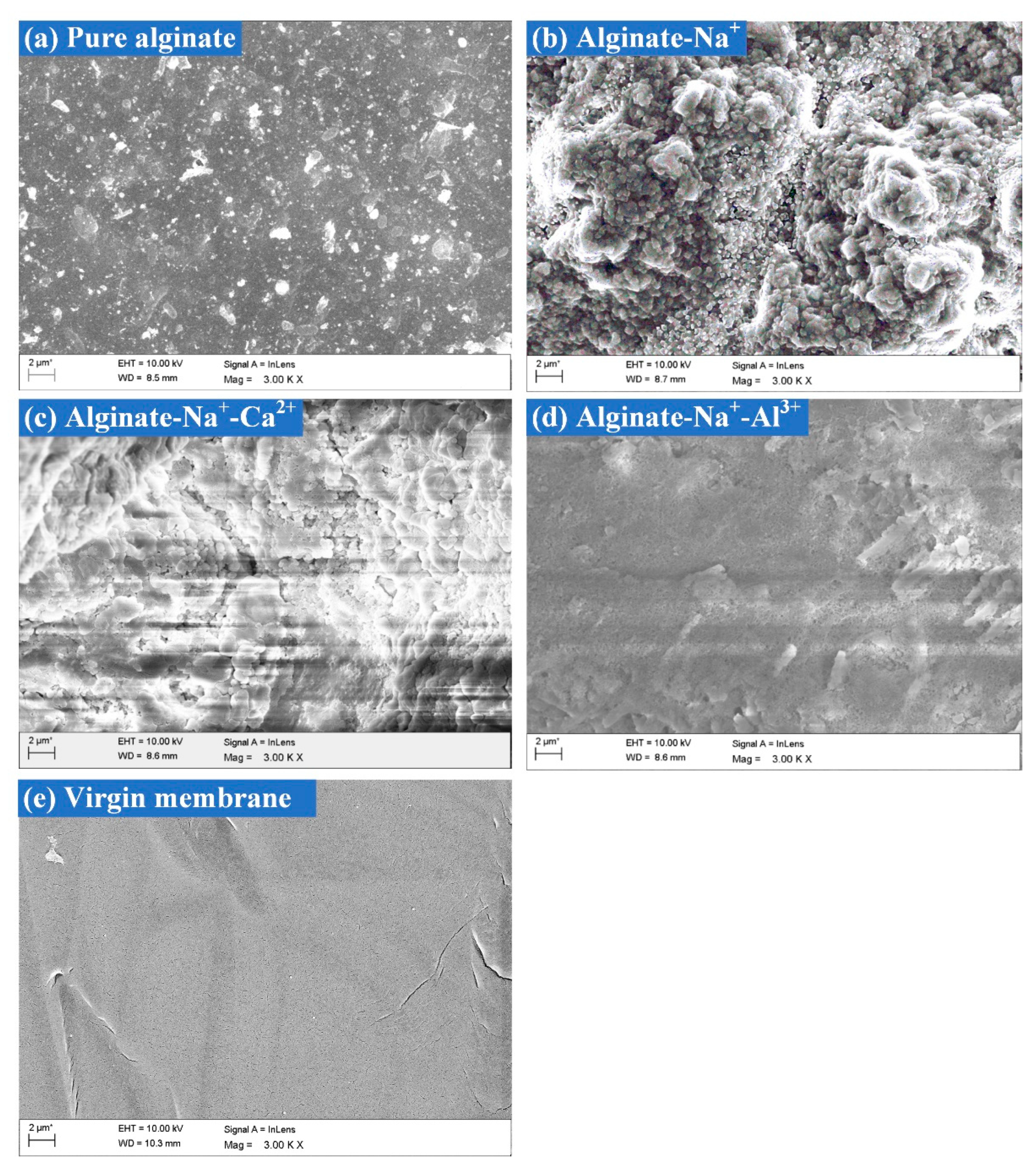 Membranes 11 00590 g005