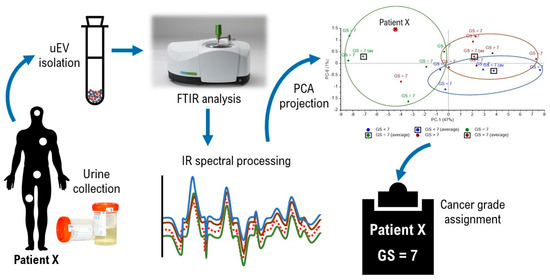 Membranes 11 00591 g0a6 550