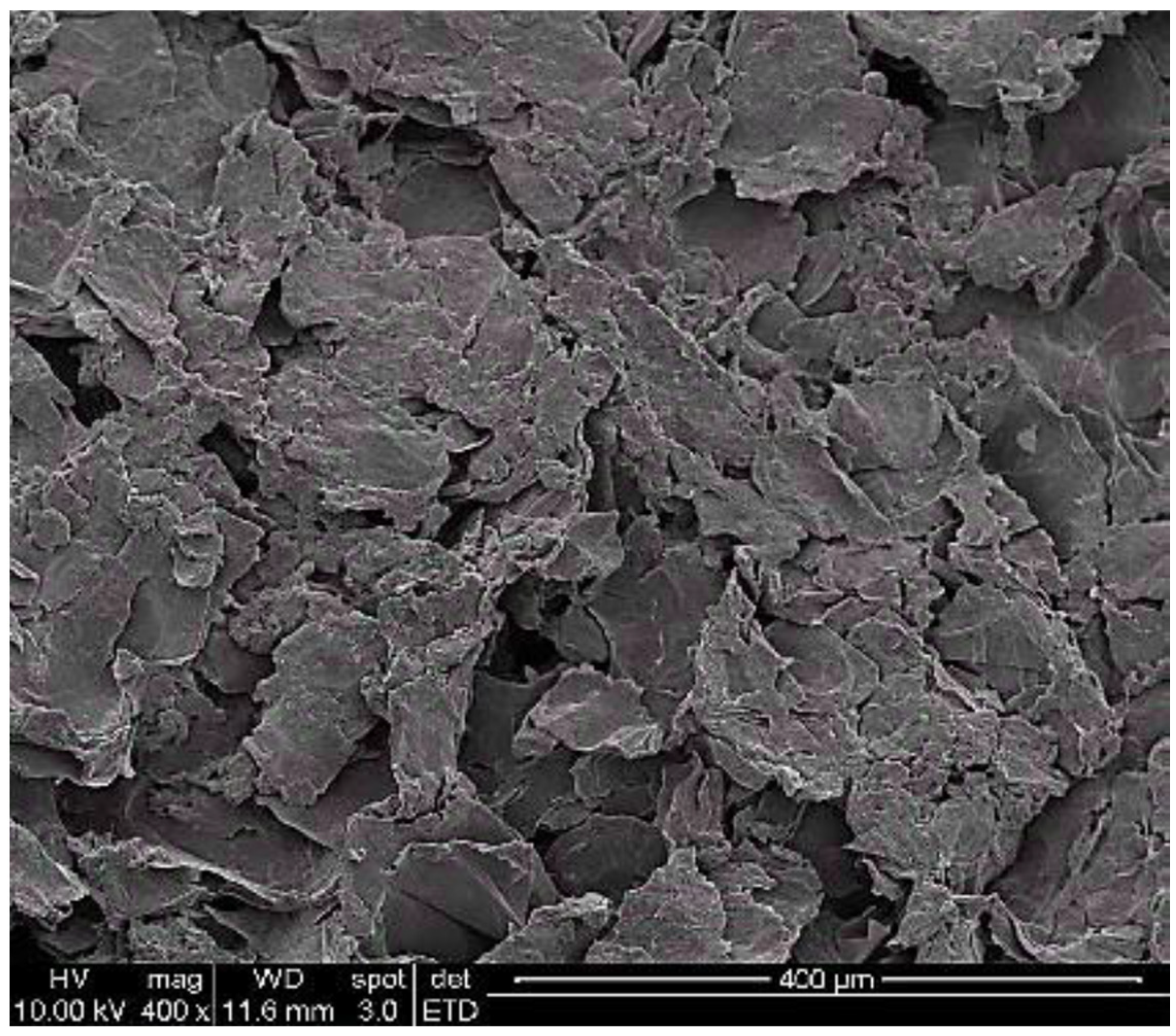 Membranes 11 00592 g001