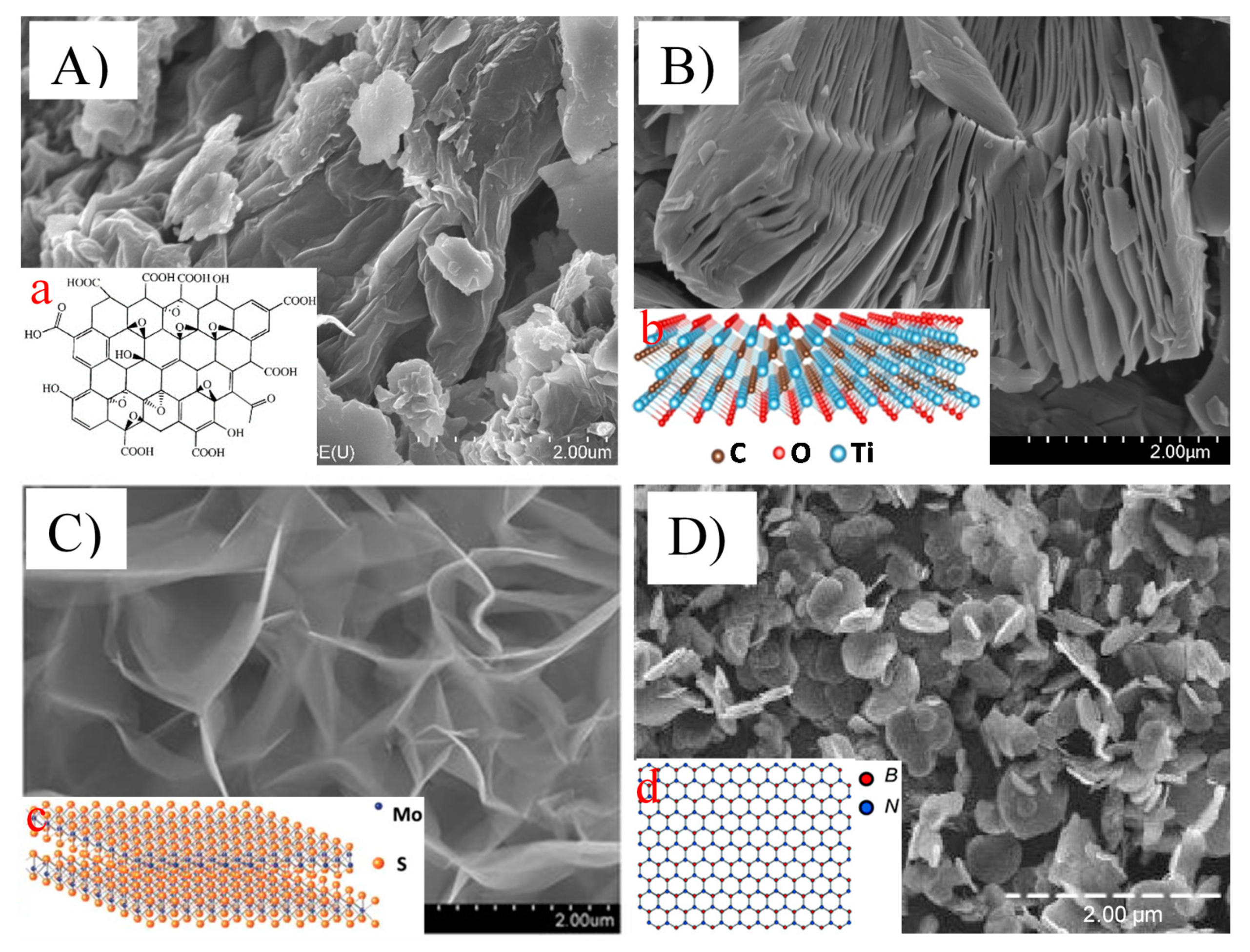 Membranes 11 00605 g001