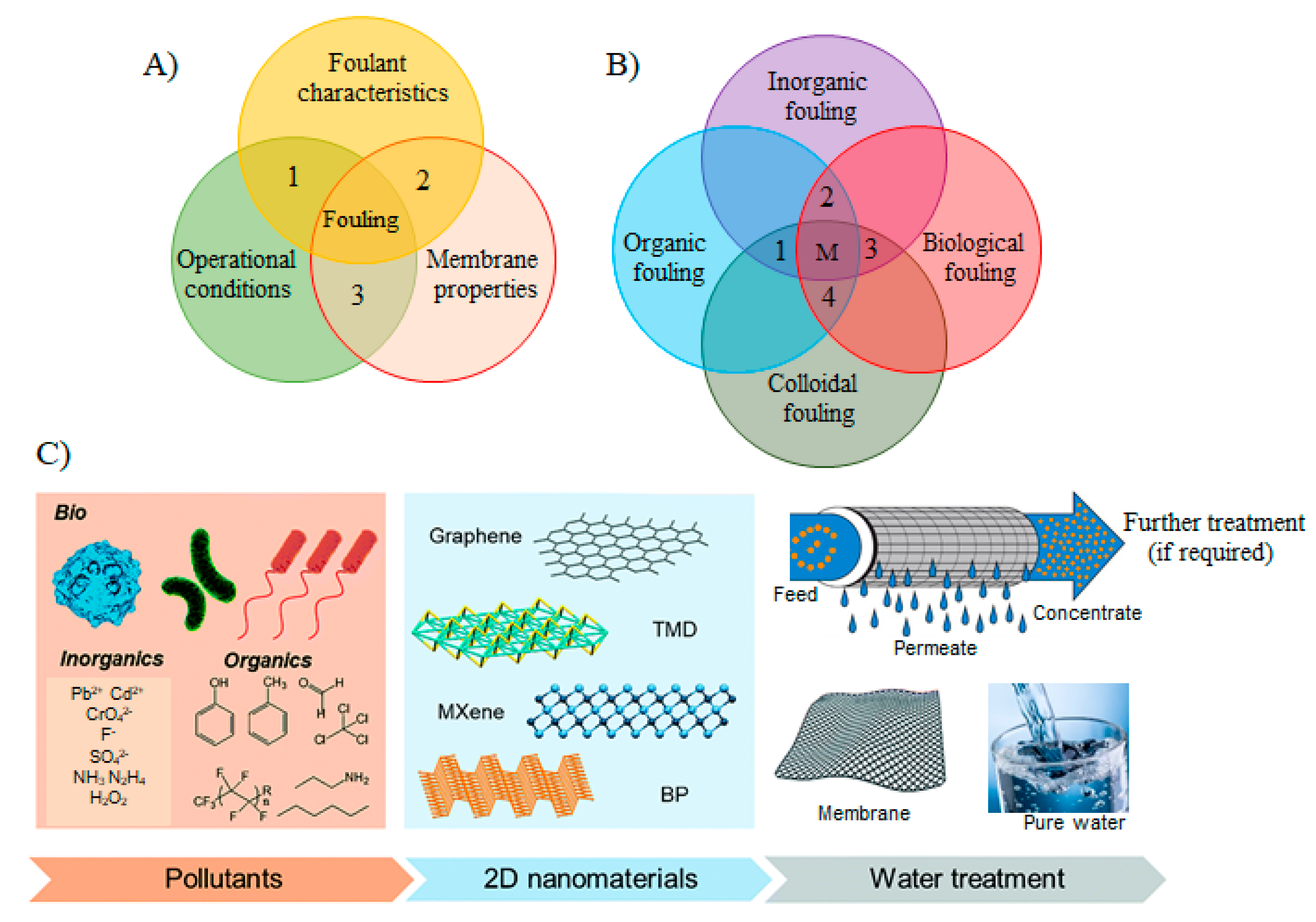 Membranes 11 00605 g002