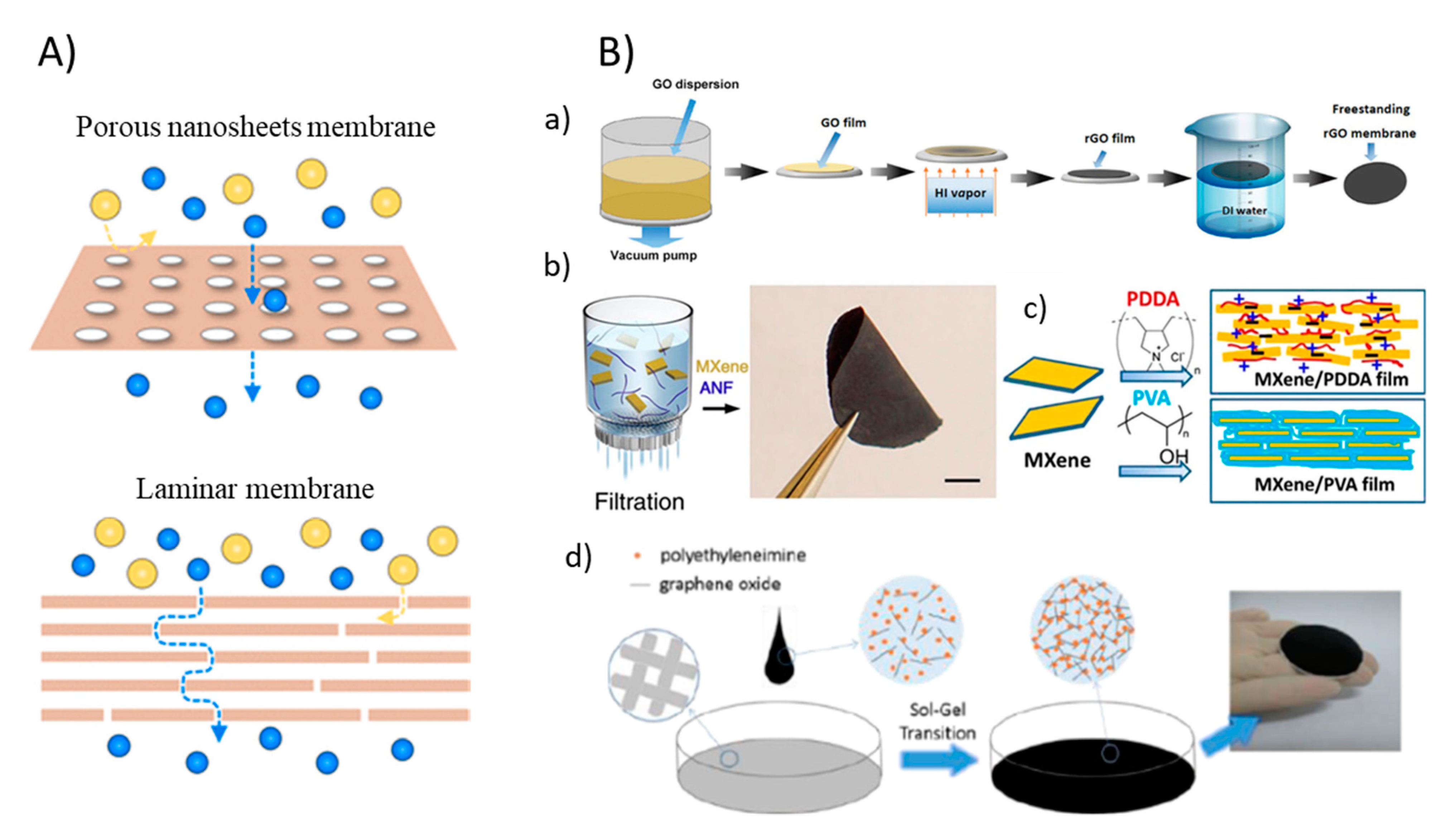 Membranes 11 00605 g003