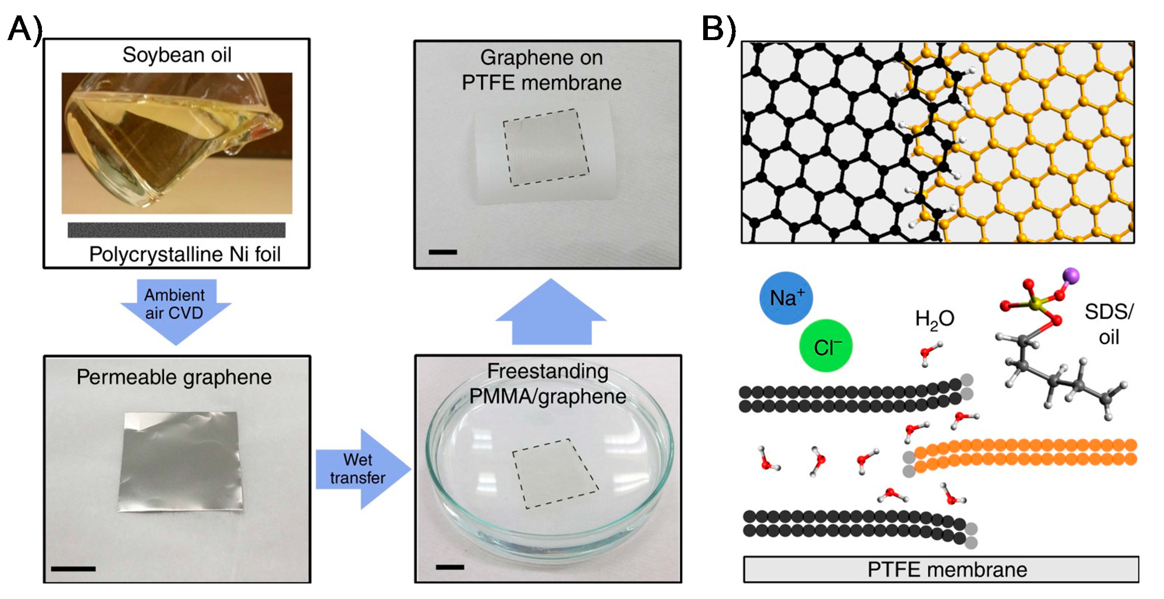 Membranes 11 00605 g004