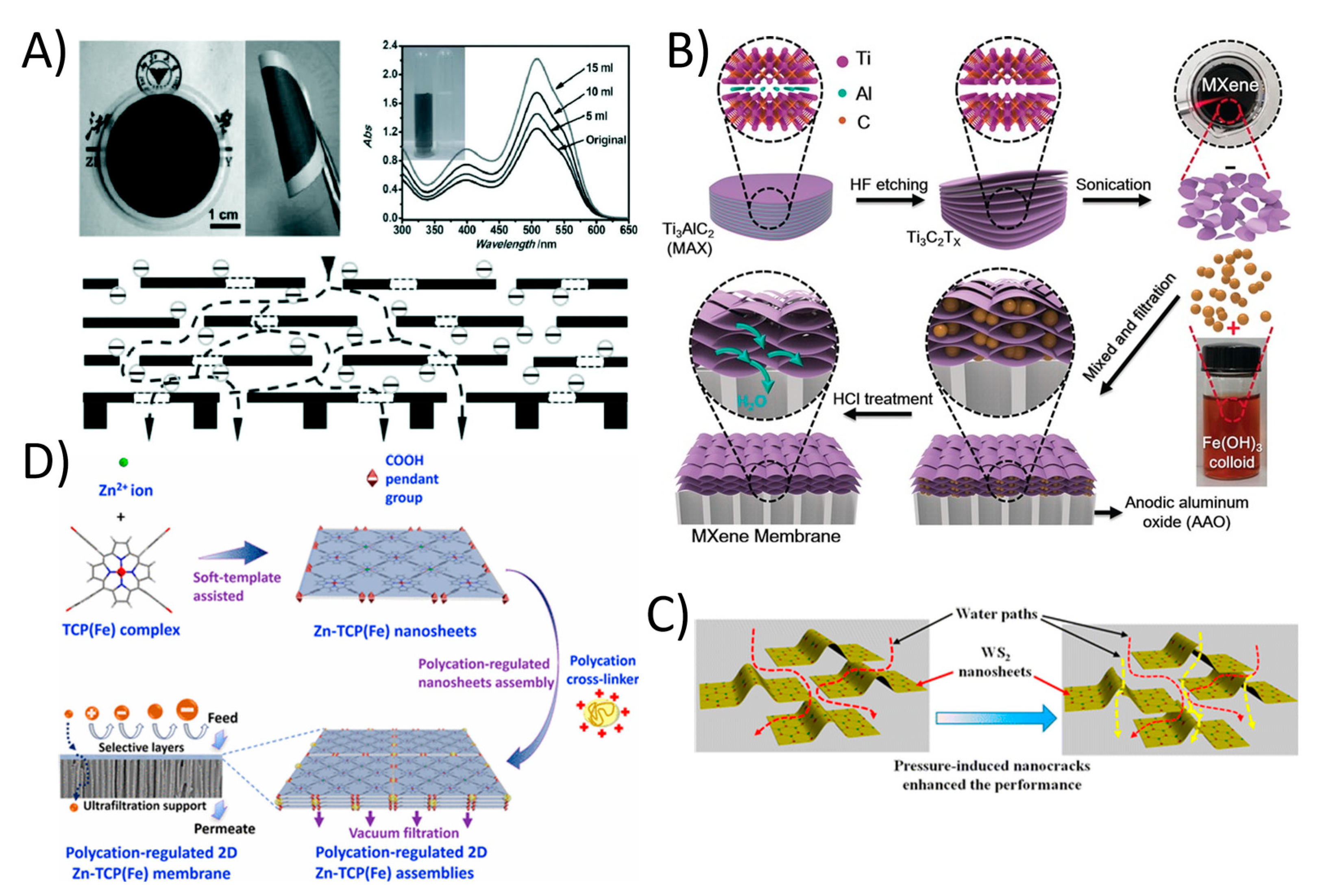 Membranes 11 00605 g006