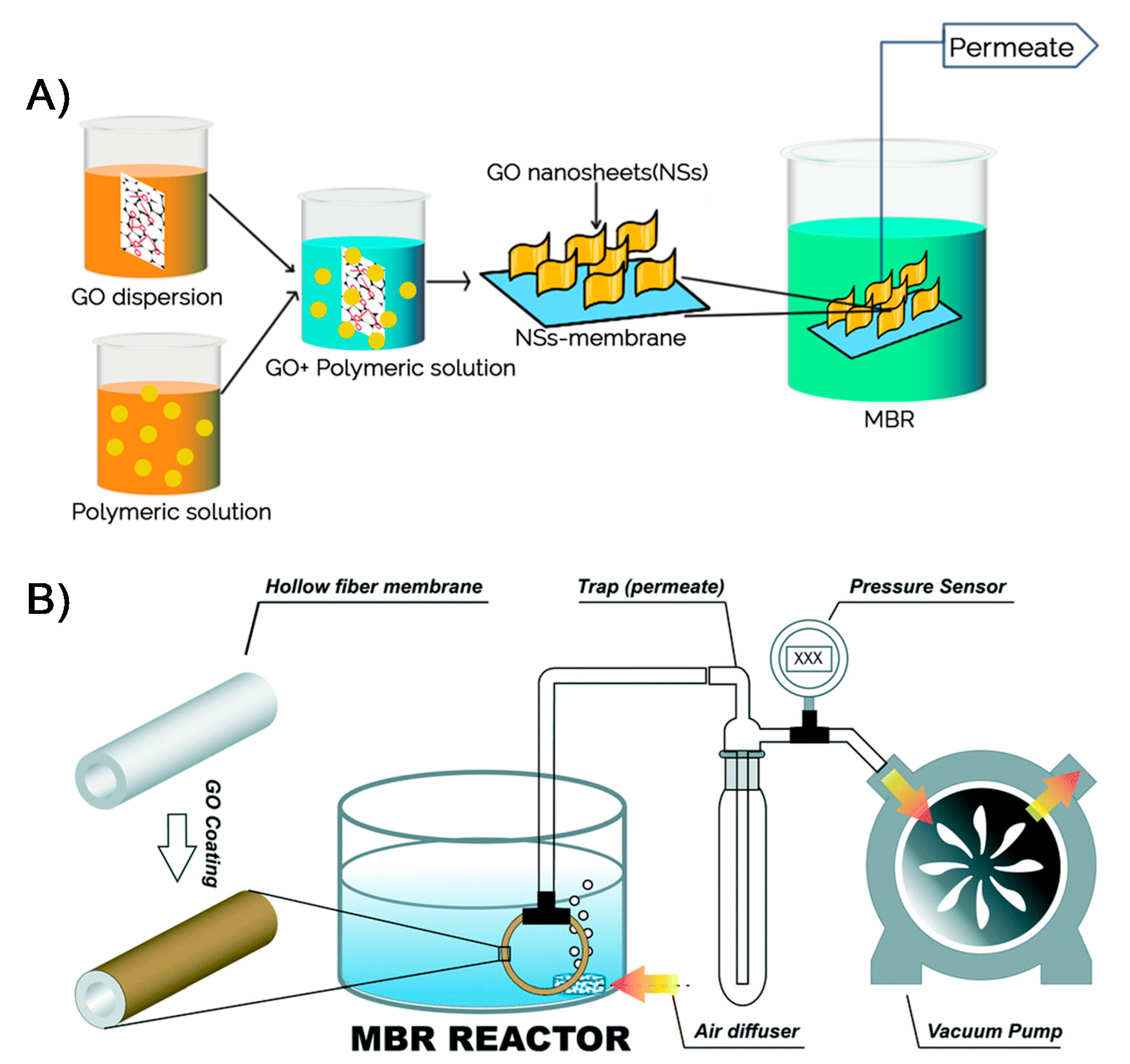 Membranes 11 00605 g007
