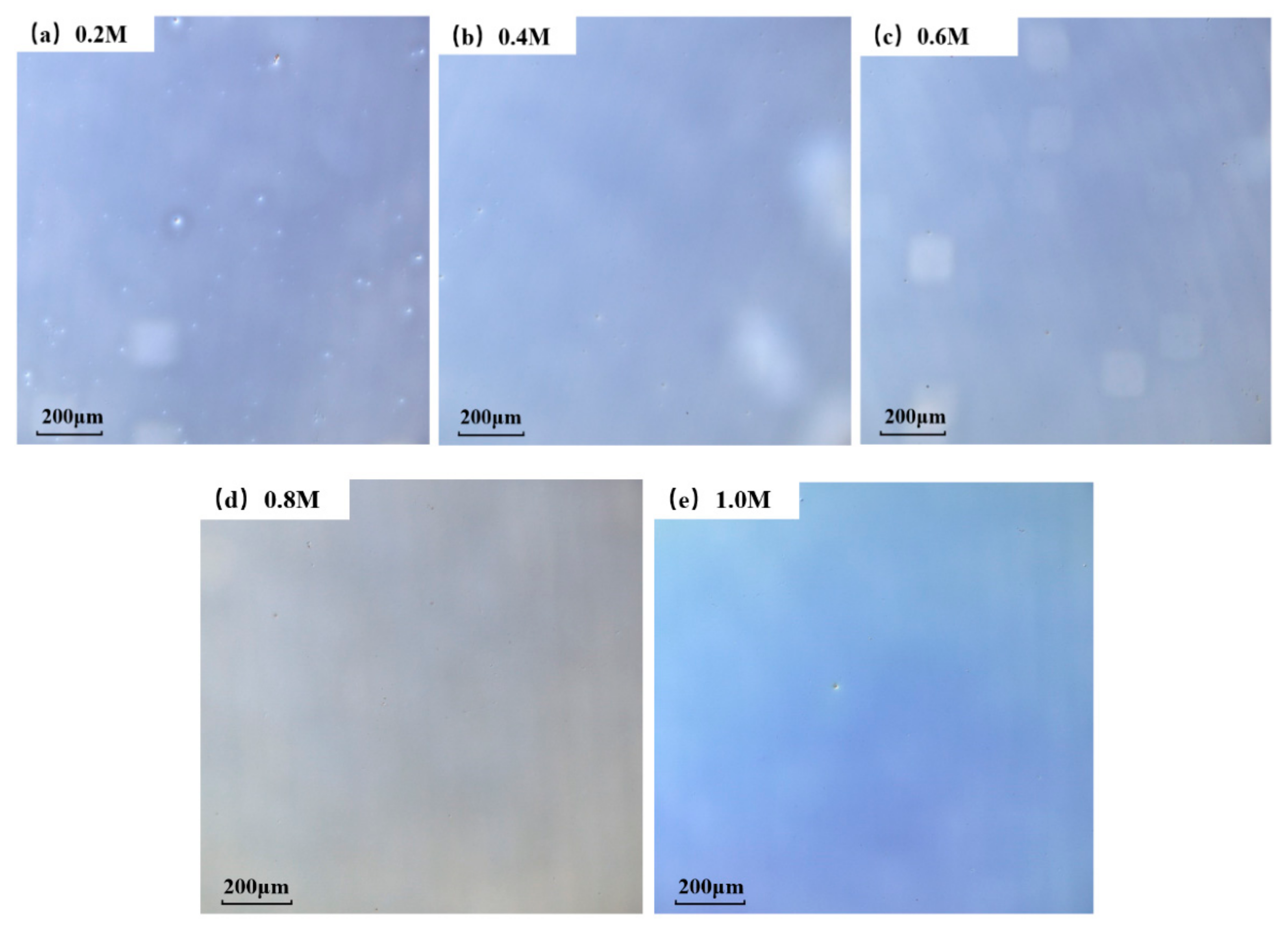 Membranes 11 00608 g003