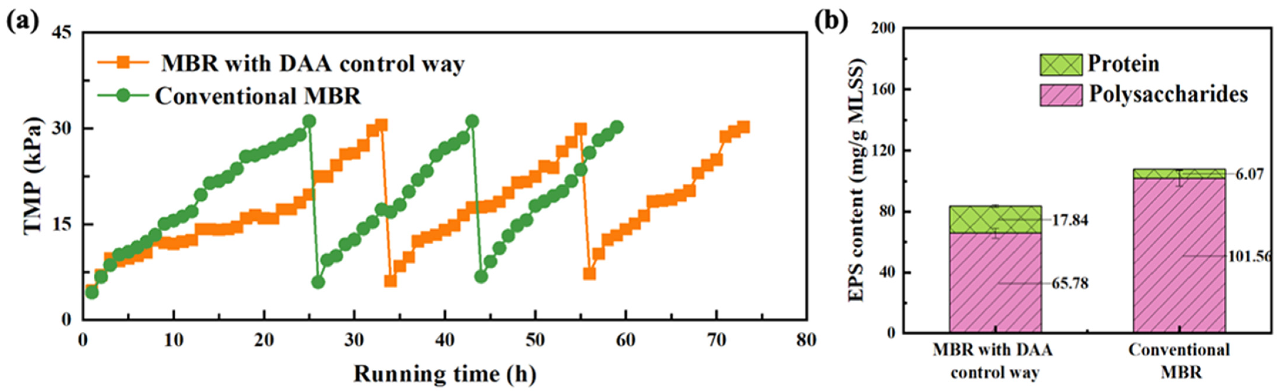 Membranes 11 00612 g002