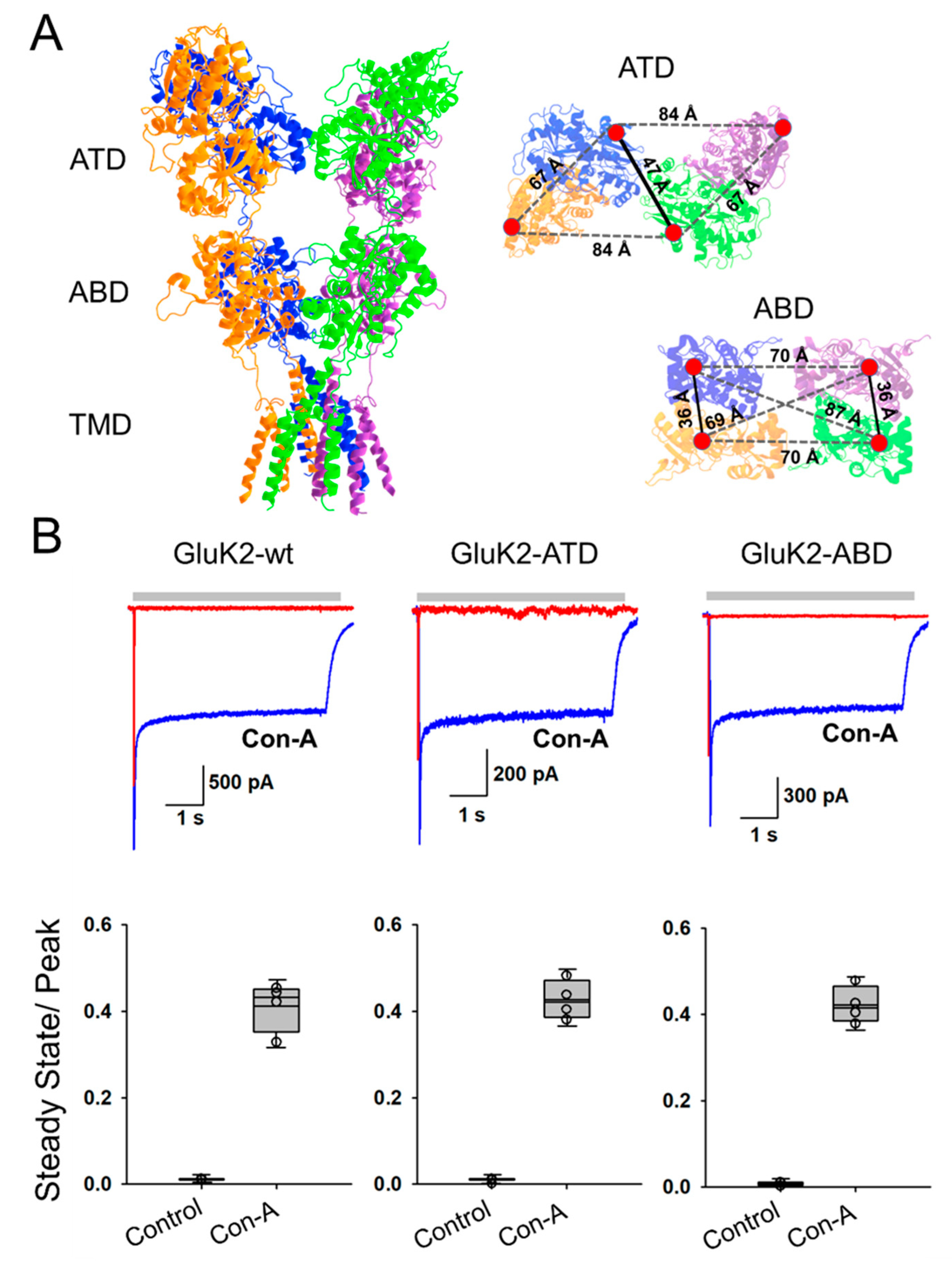 Membranes 11 00613 g001