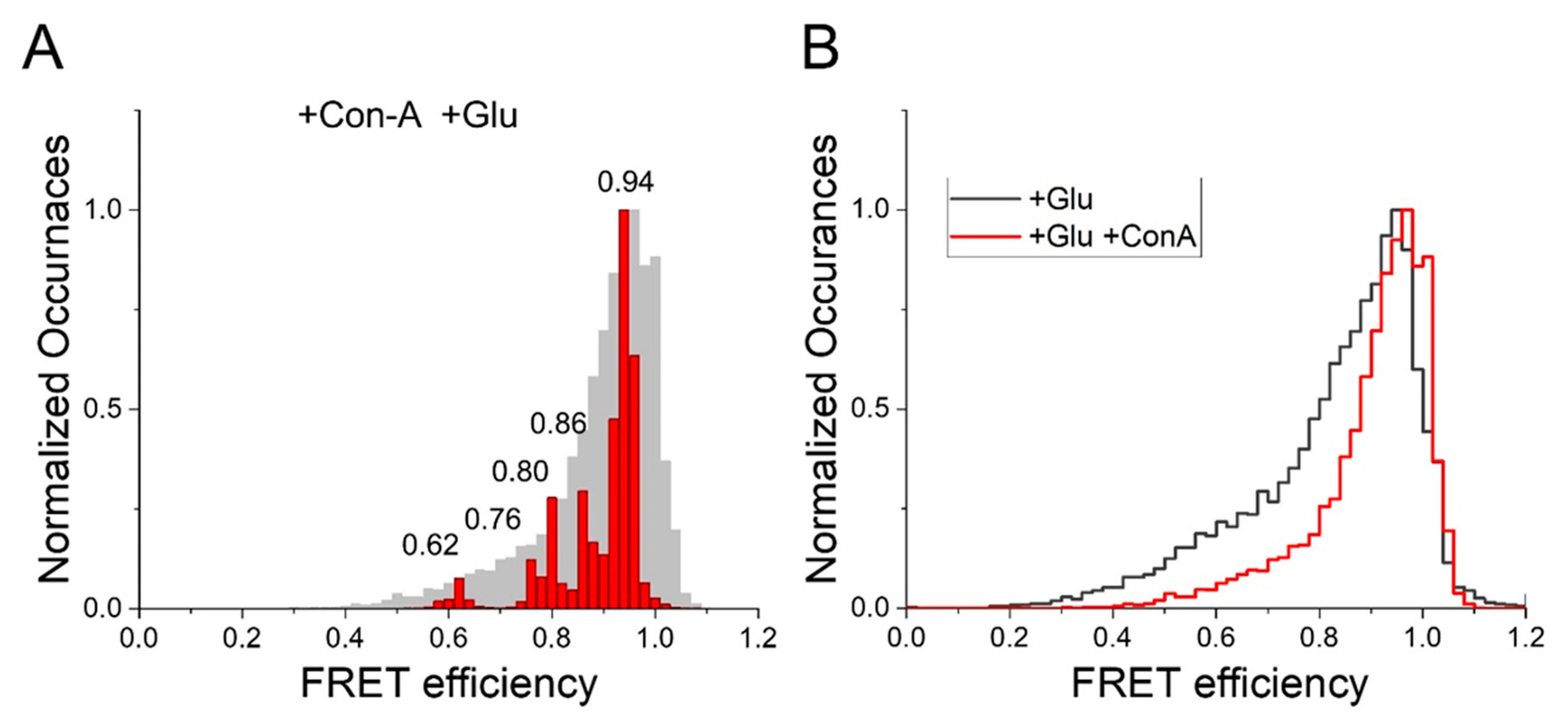 Membranes 11 00613 g003