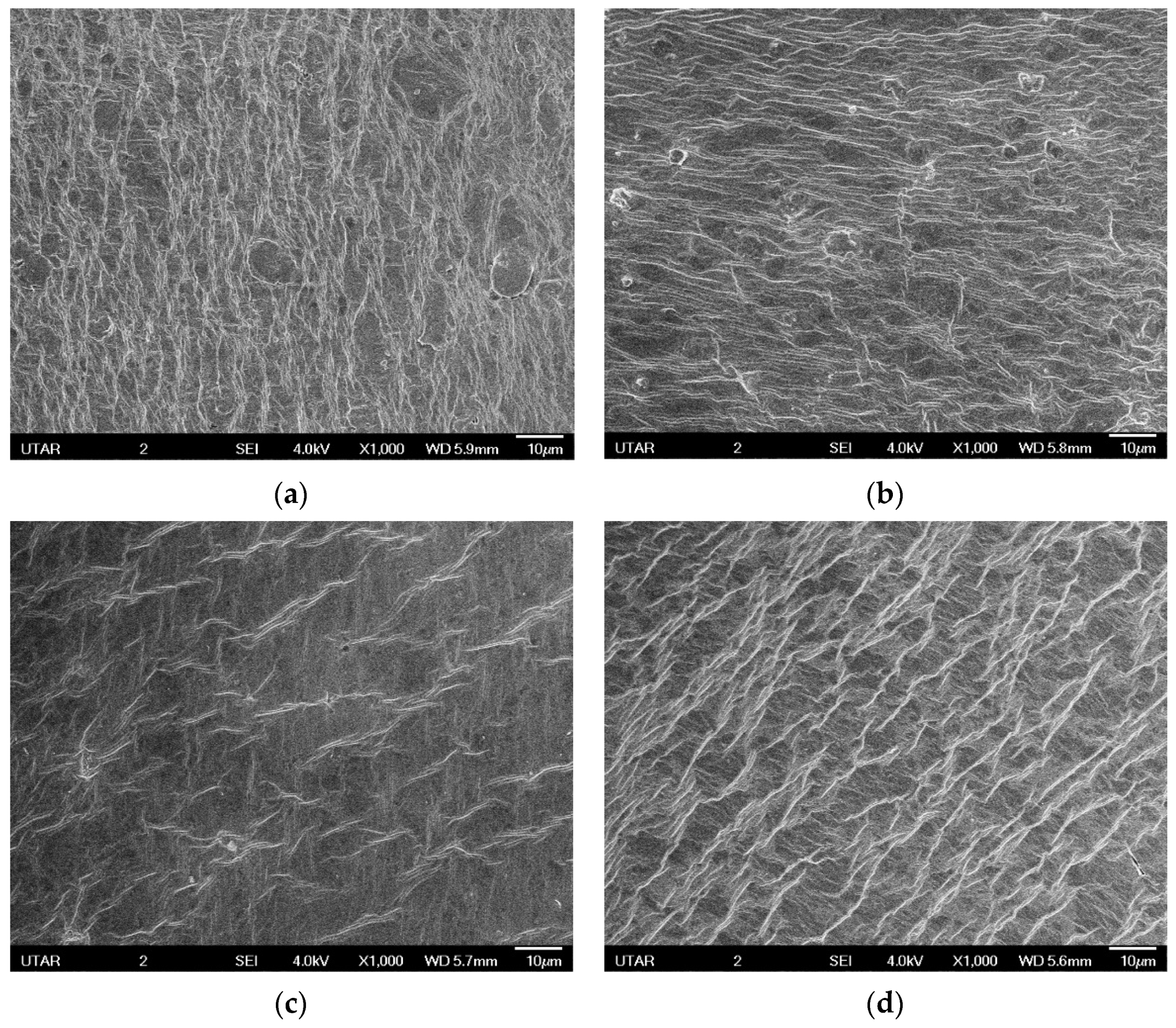 Membranes 11 00614 g001