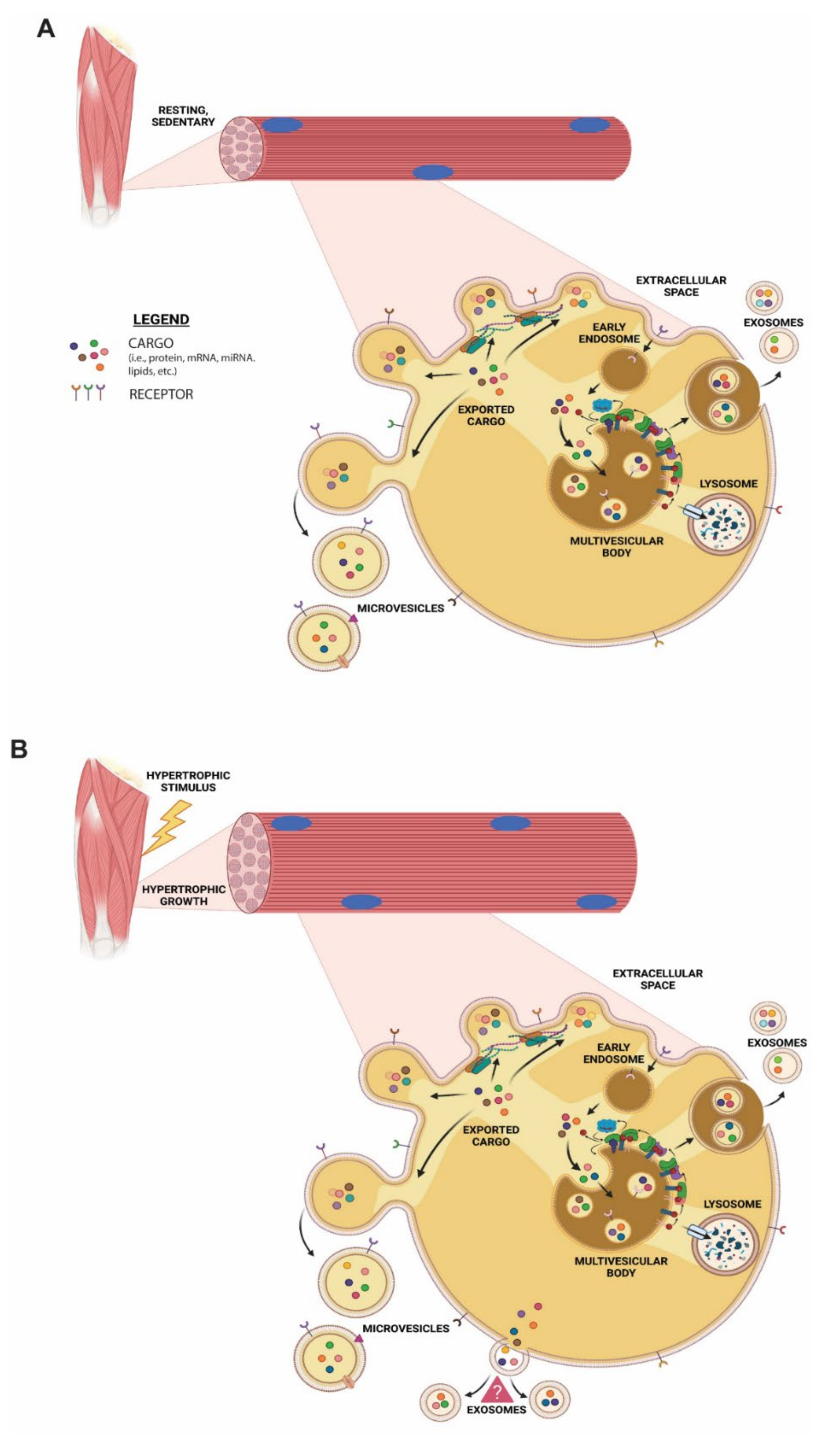 Membranes 11 00619 g007