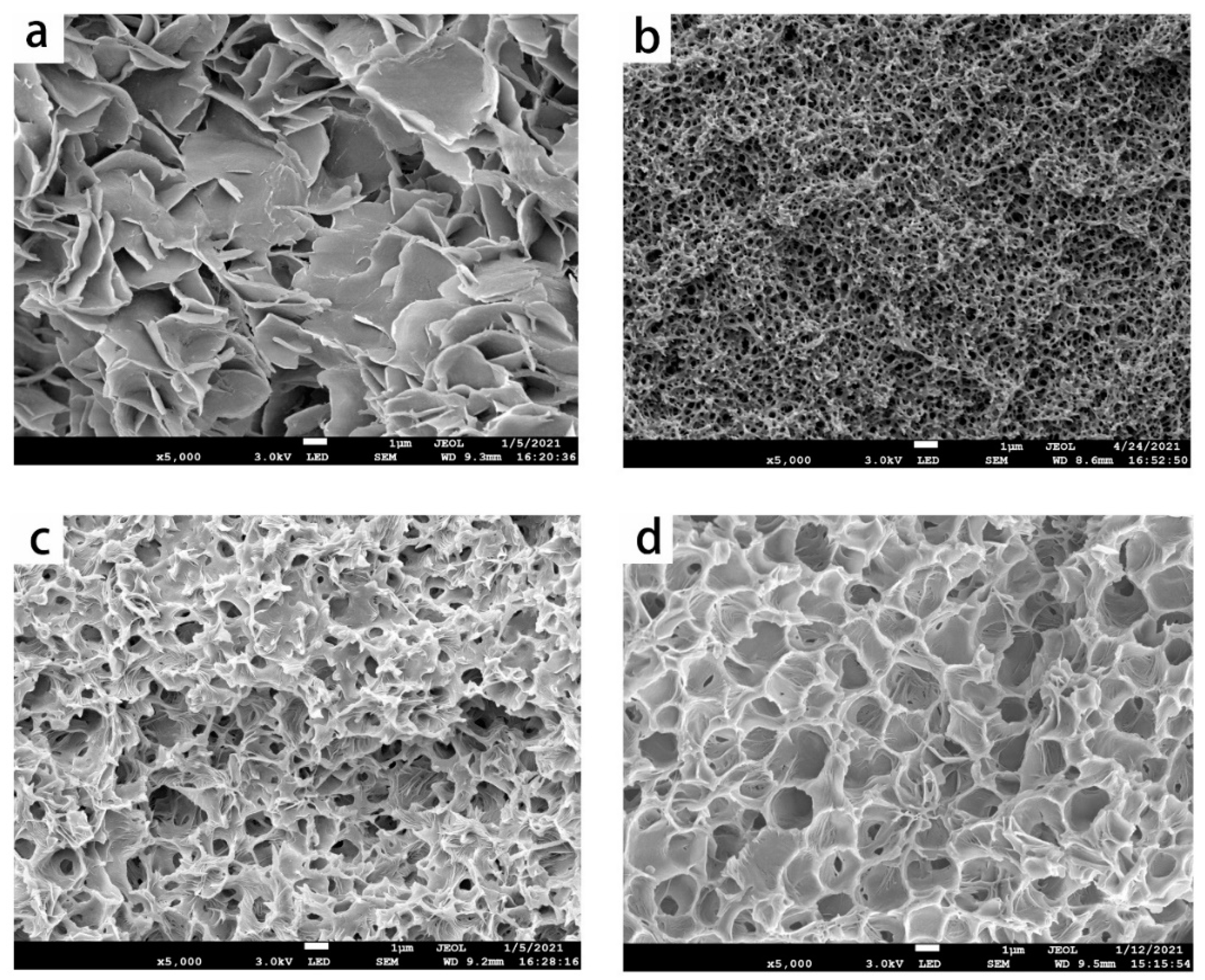 Membranes 11 00622 g002
