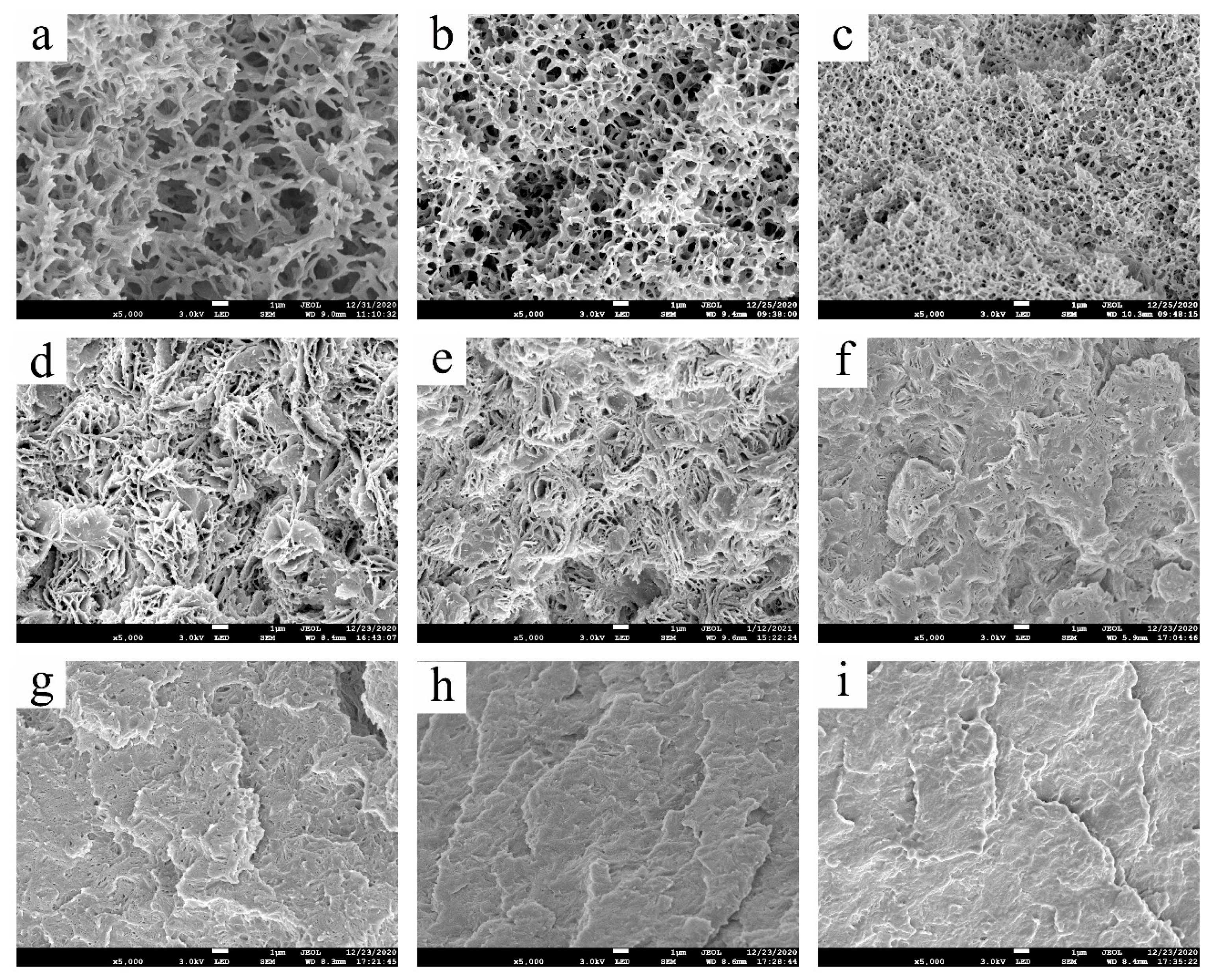 Membranes 11 00622 g006