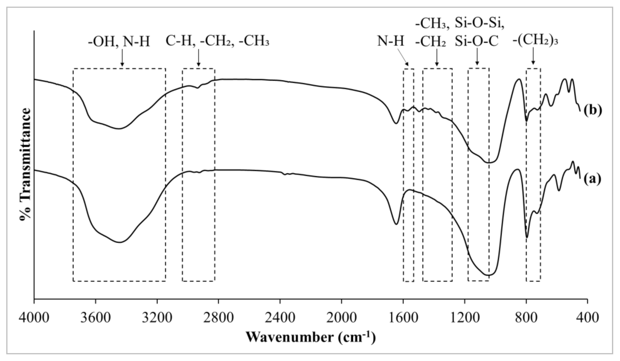 Membranes 11 00630 g005