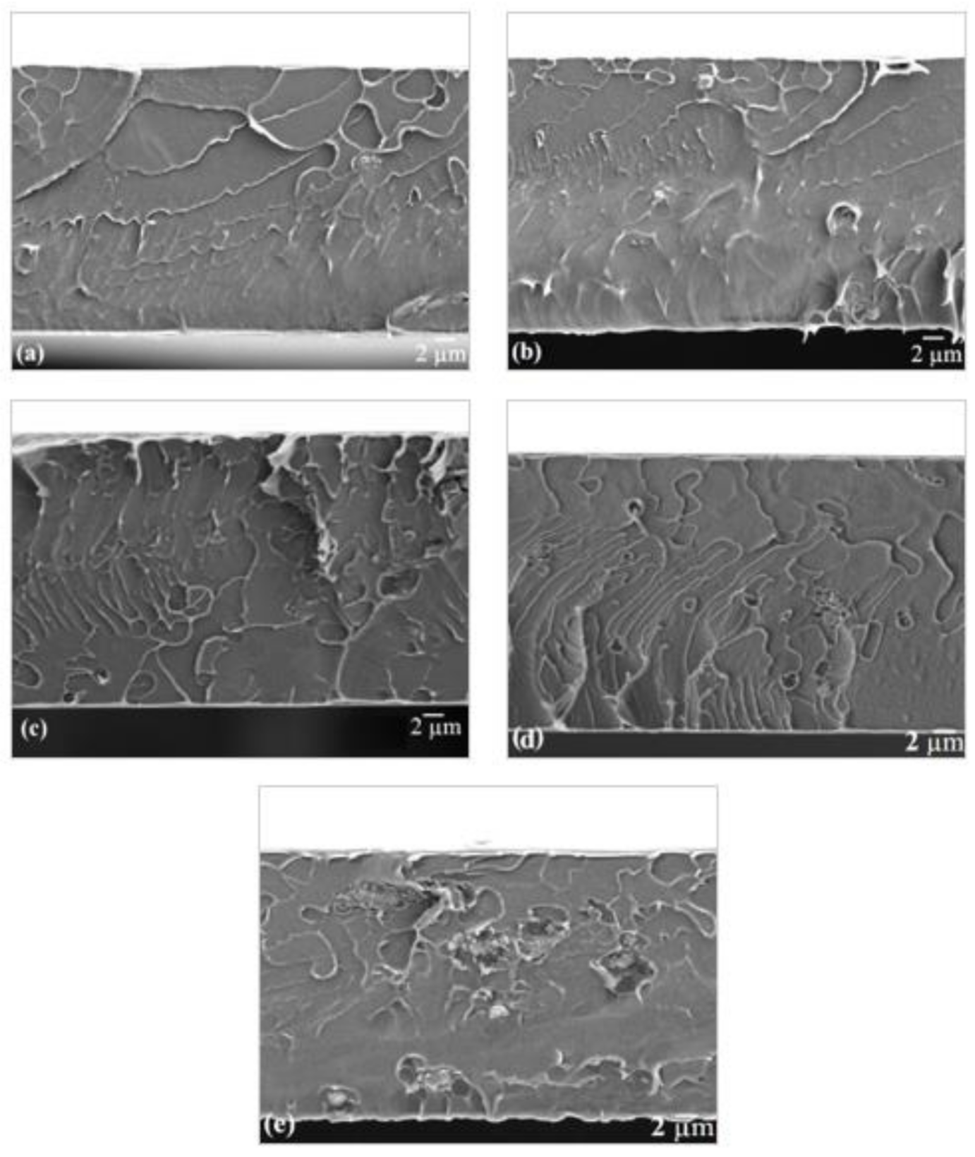 Membranes 11 00630 g011