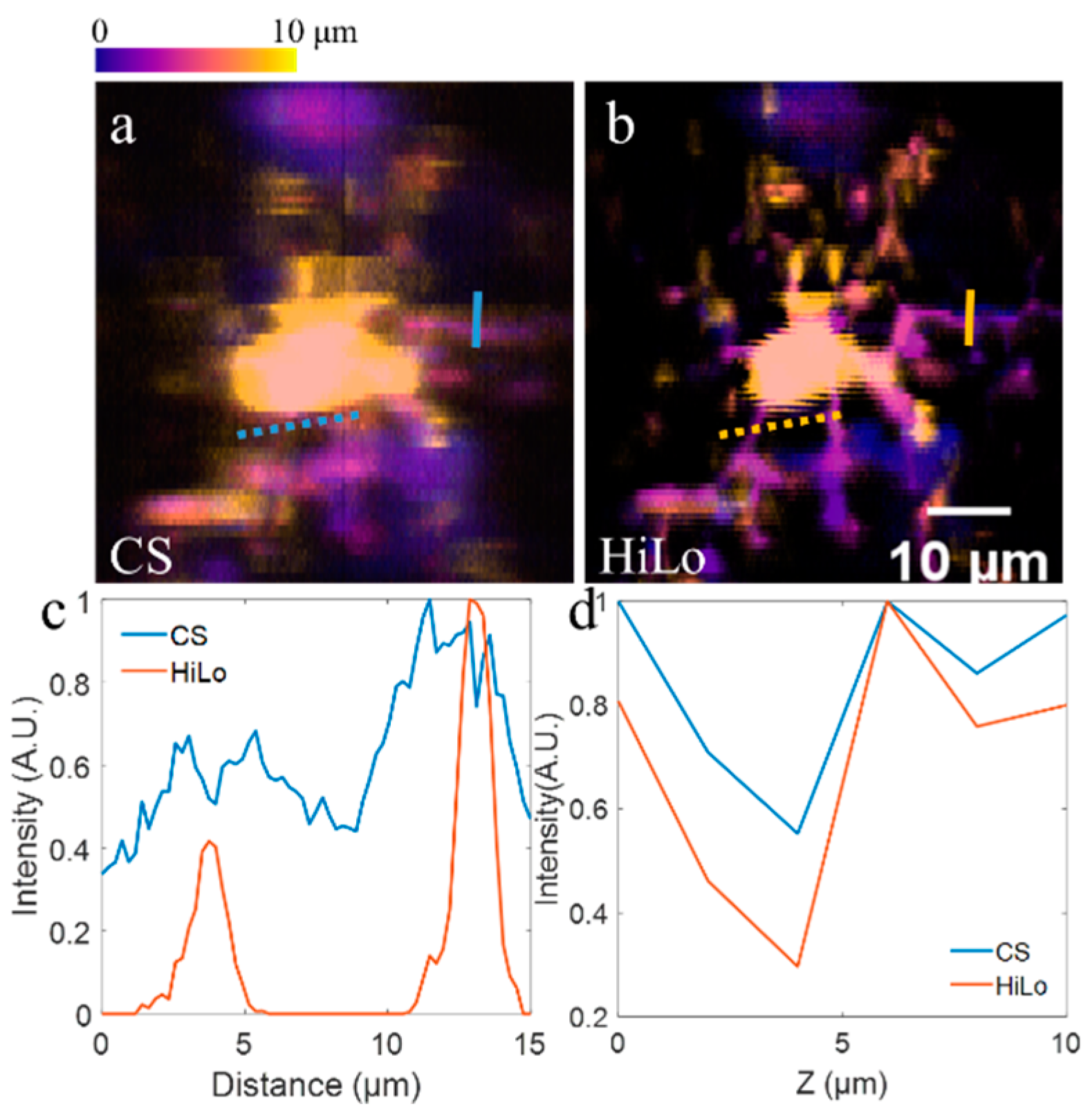 Membranes 11 00634 g004