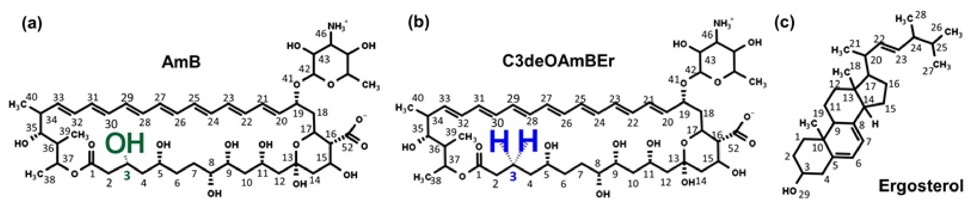 Membranes 11 00646 g001 Membranes 11 00646 g001