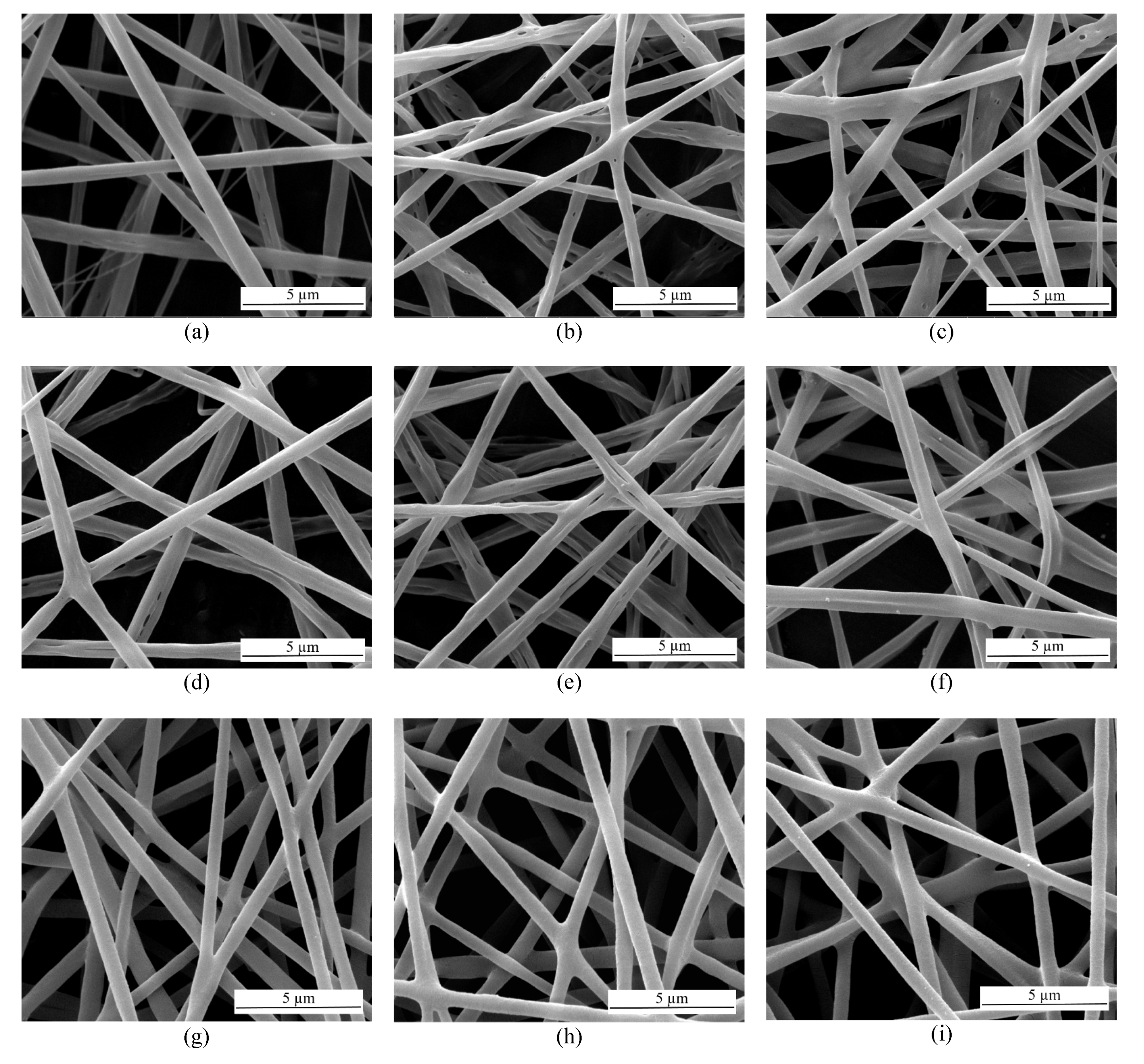 Membranes 11 00648 g001