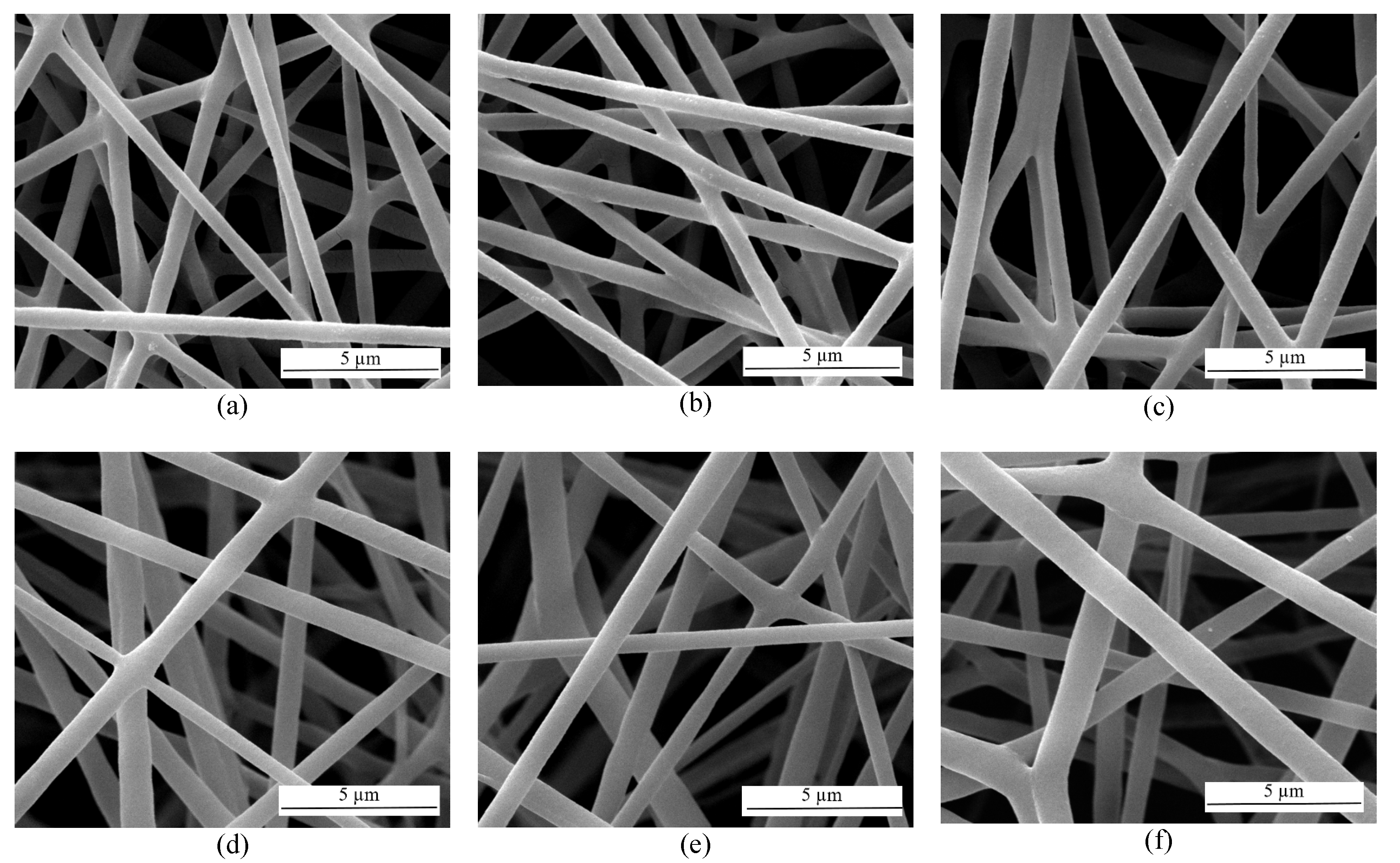 Membranes 11 00648 g002