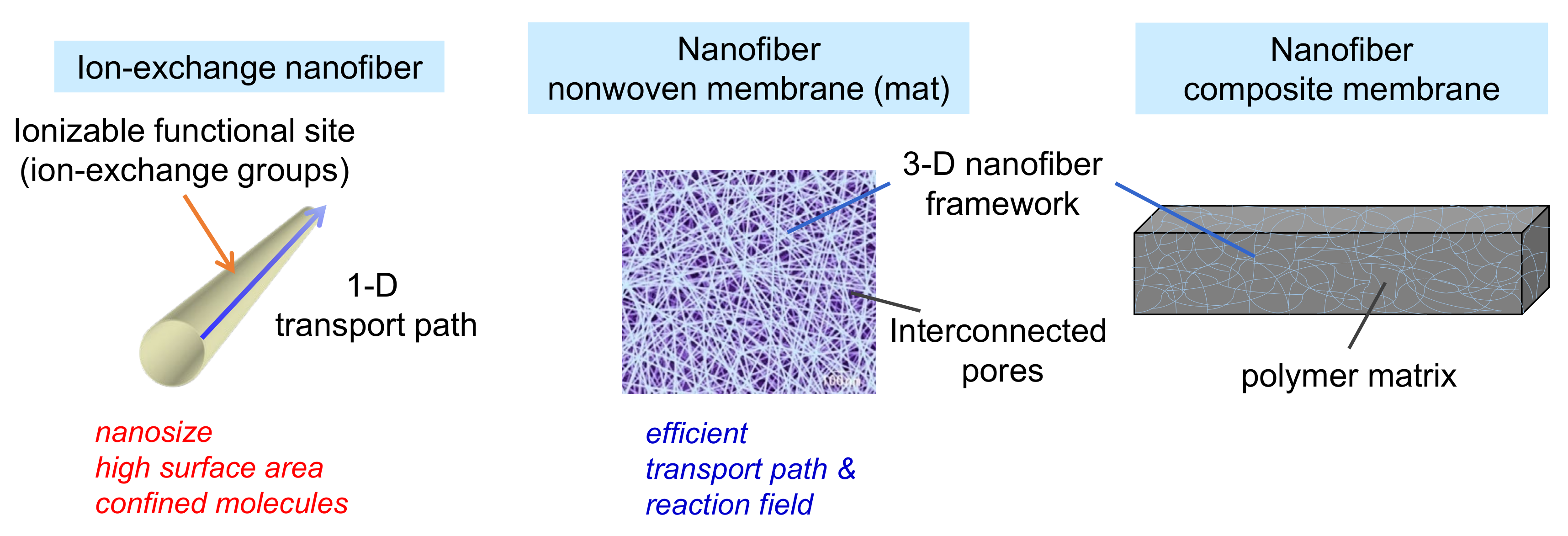 Membranes 11 00652 g002