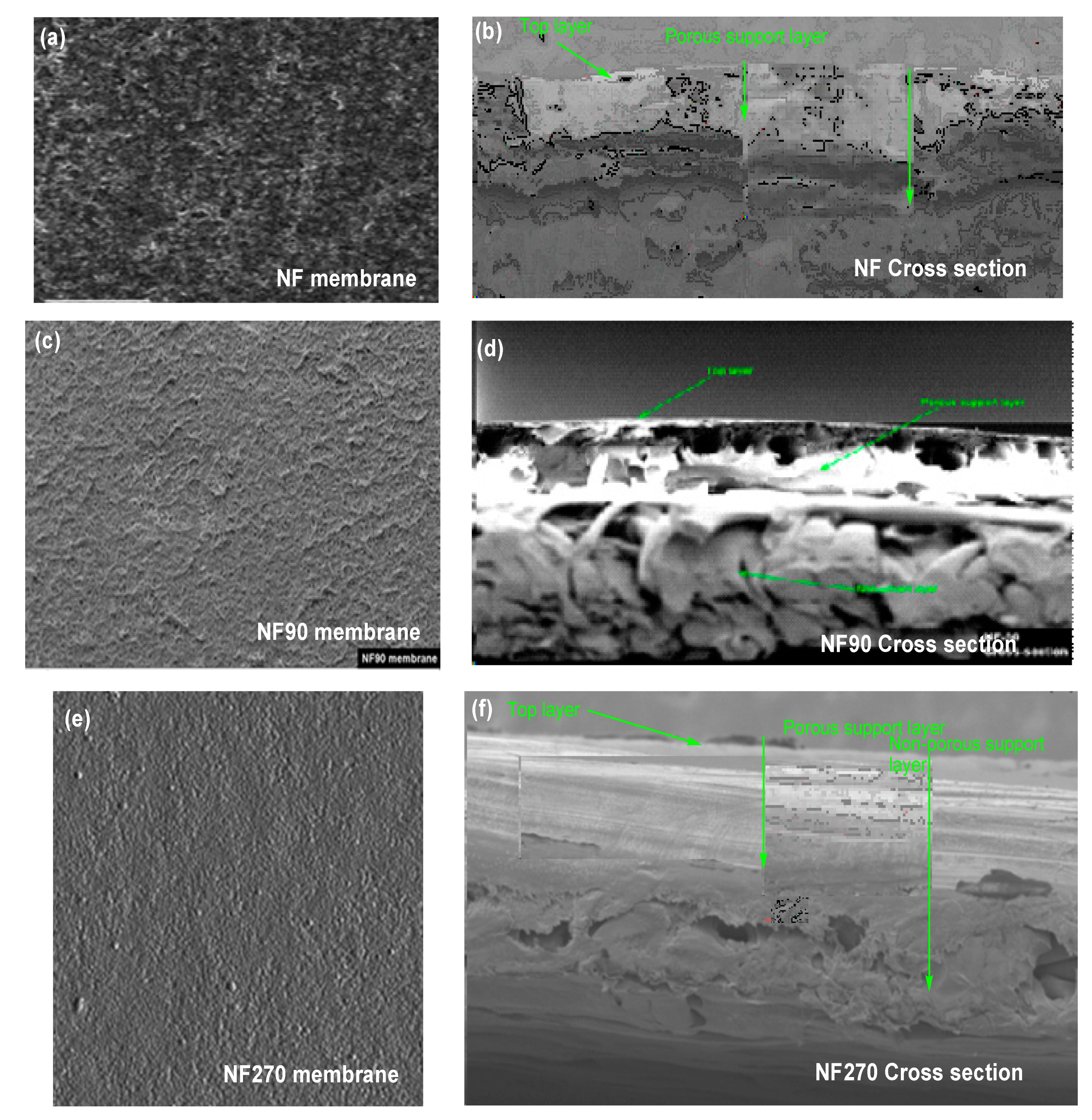 Membranes 11 00653 g003 Membranes 11 00653 g003